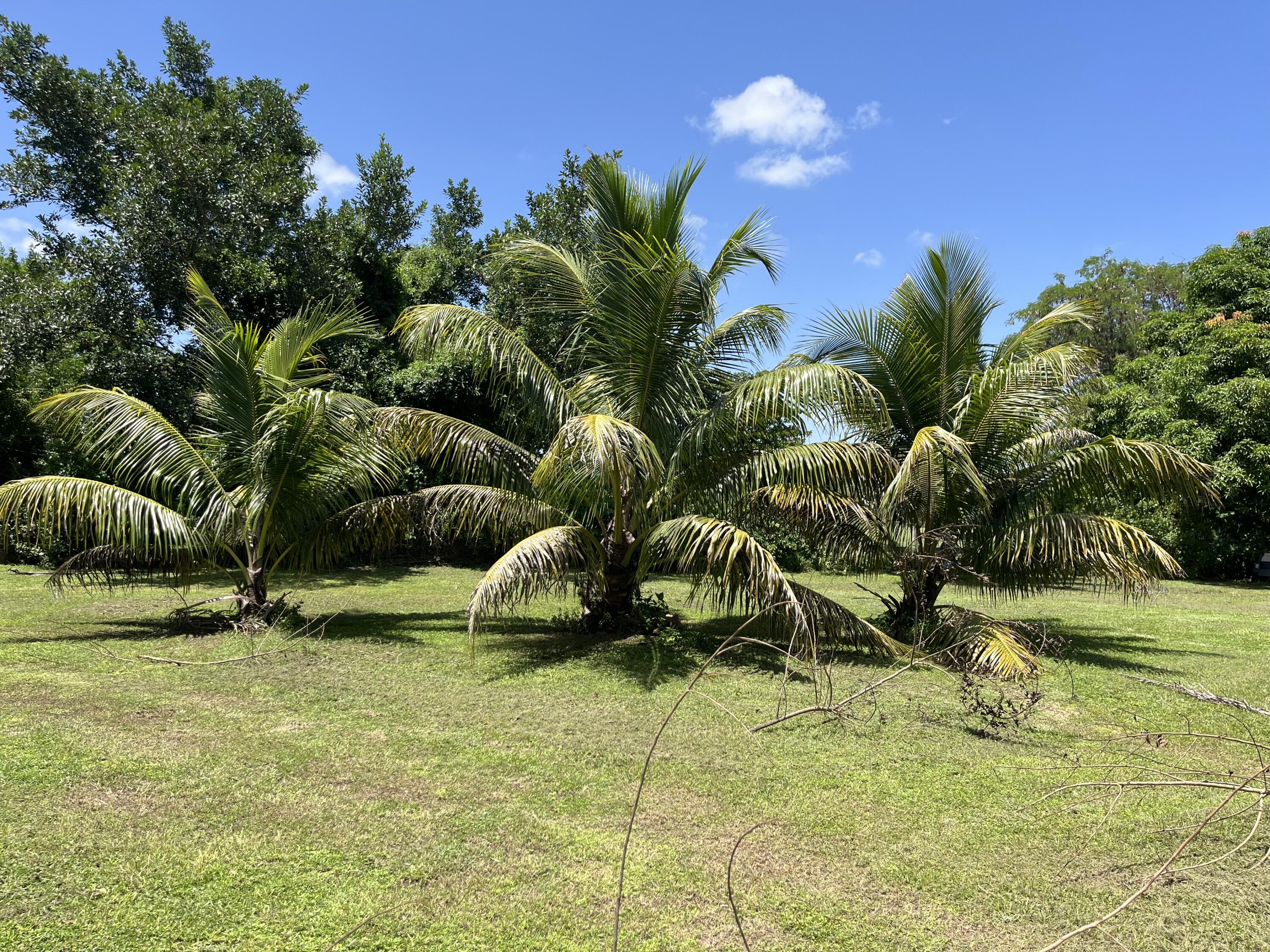 16201 Southwest 170th Avenue Miami, FL 33187 - Photo 4 of 6