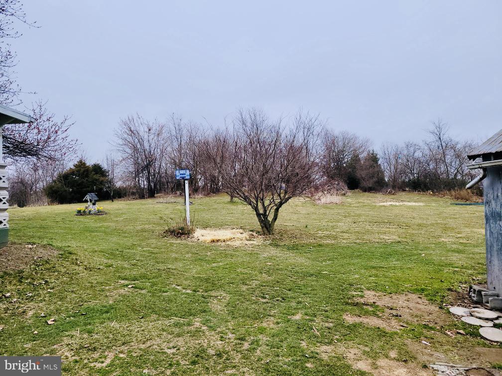 105 Clark Road Stephens City, VA 22655 - Photo 2 of 23 Gallery Image 2