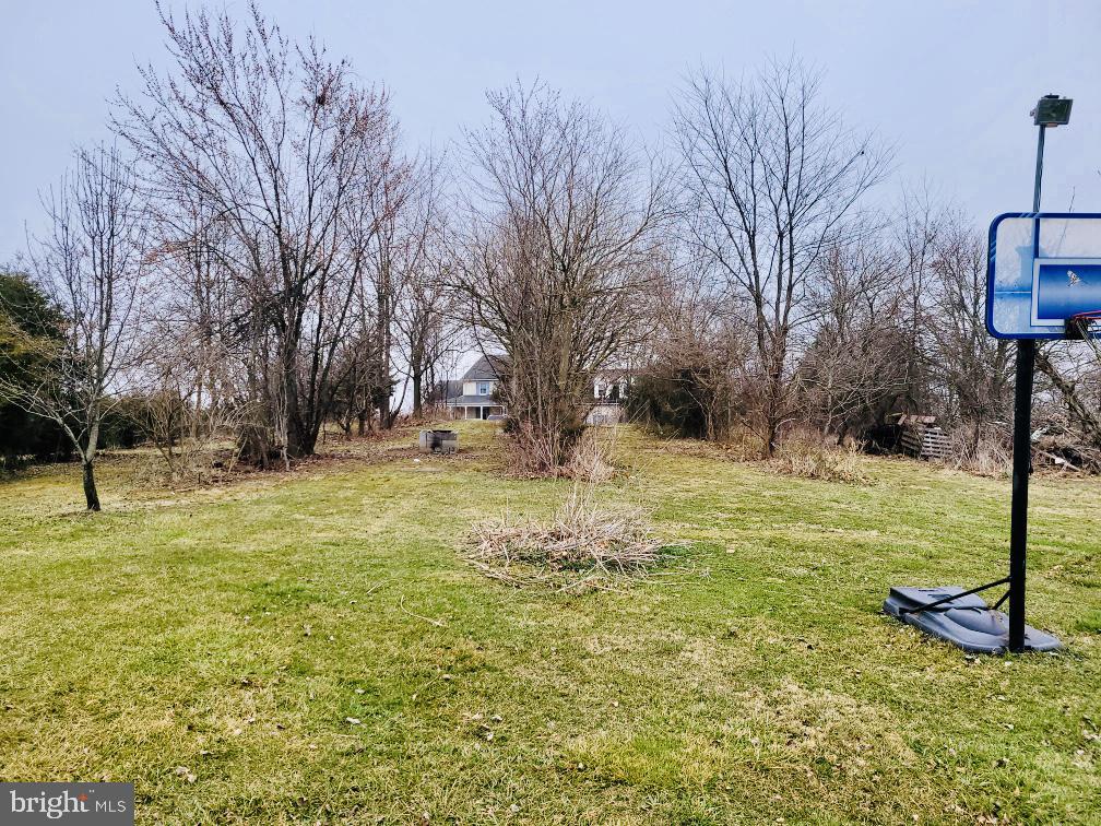 105 Clark Road Stephens City, VA 22655 - Photo 17 of 23 Gallery Image 17