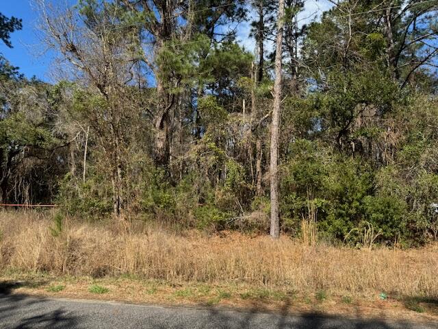 776 Society Road McClellanville, SC 29458 - Photo 3 of 6 IMG_4663