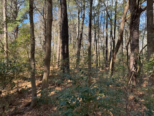 776 Society Road McClellanville, SC 29458 - Photo 5 of 6 IMG_4662