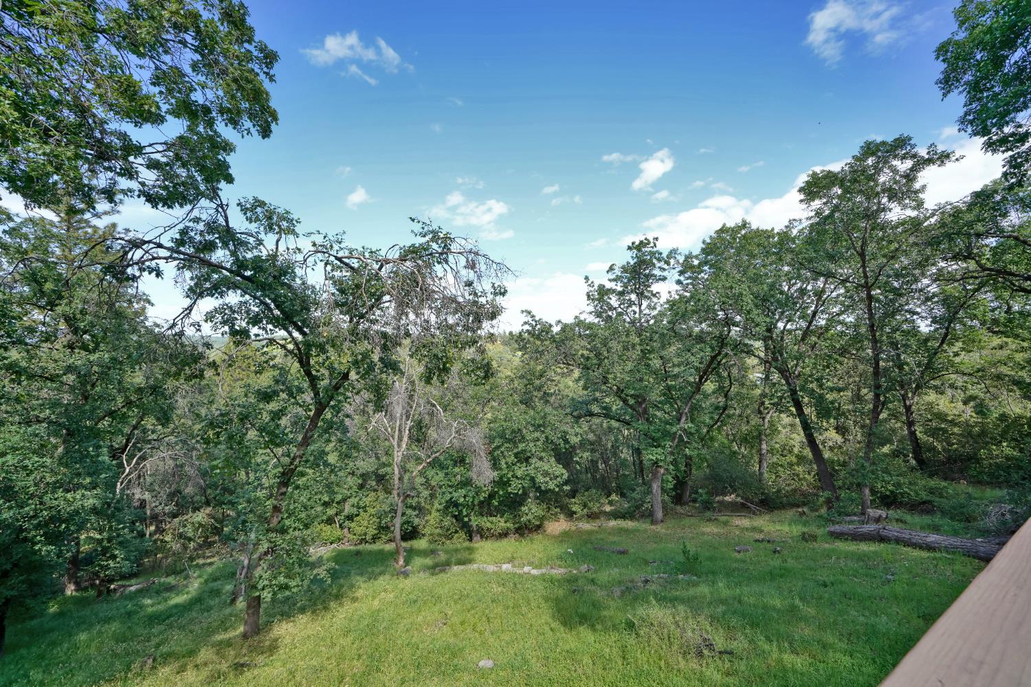 3041 Rising Hill Court Placerville, CA 95667 - Photo 22 of 31 a view of a big yard