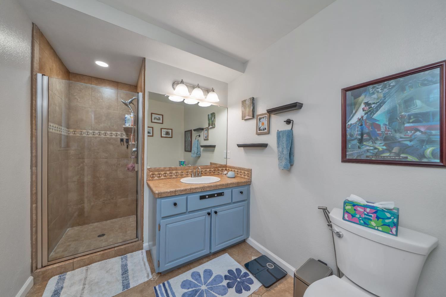 3041 Rising Hill Court Placerville, CA 95667 - Photo 7 of 31 a bathroom with a granite countertop sink a toilet a mirror a vanity and shower