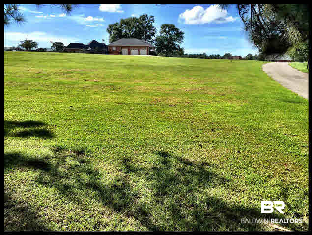 0 Deer Ridge Drive Wilmer, AL 36587 - Photo 9 of 17
