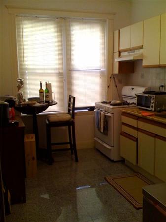 29 Mt Hood Road, Unit 298 Boston, MA 02135 - Photo 4 of 5