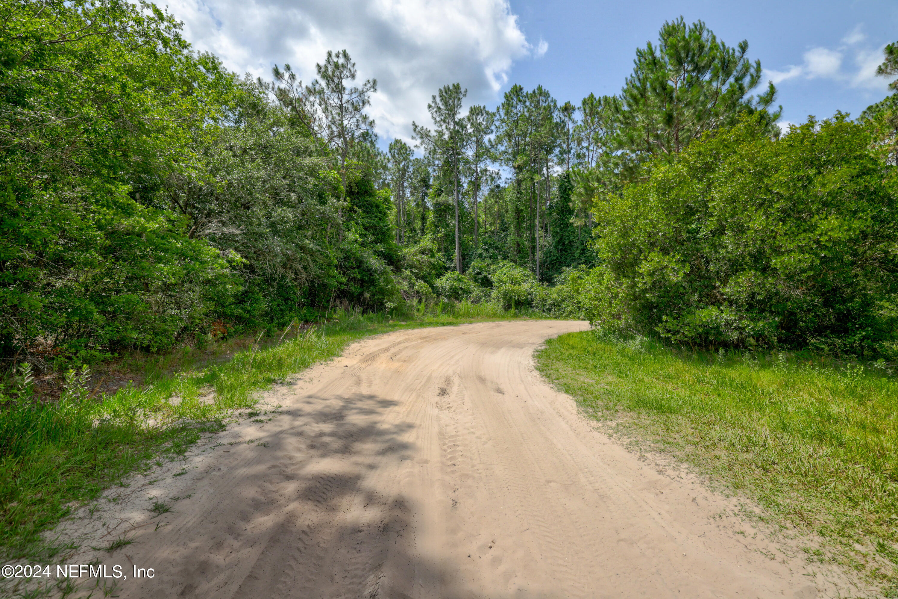 0 Lee Lane Interlachen, FL 32148 - Photo 3 of 14 14 - 0 LEE LANE