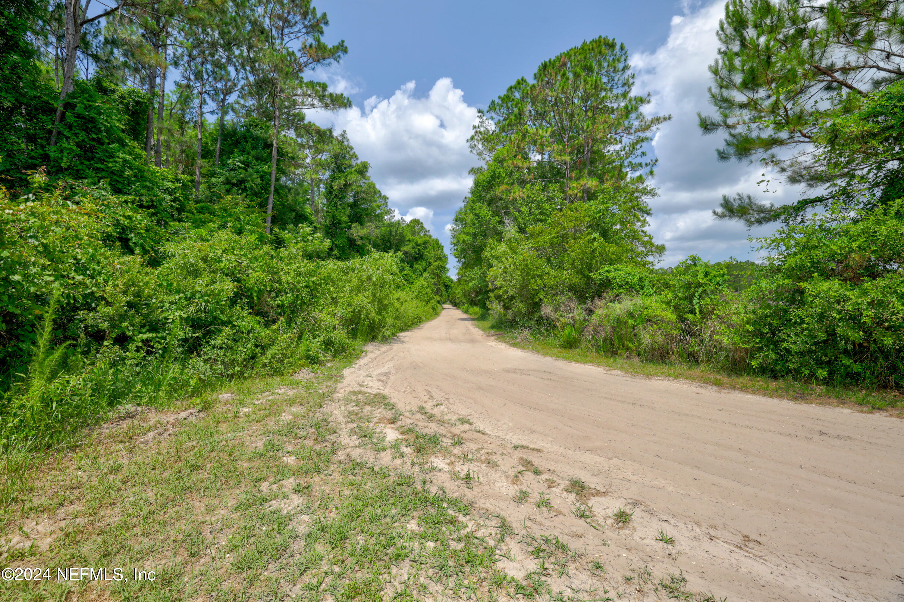 0 Lee Lane Interlachen, FL 32148 - Photo 4 of 14 16 - 0 LEE LANE