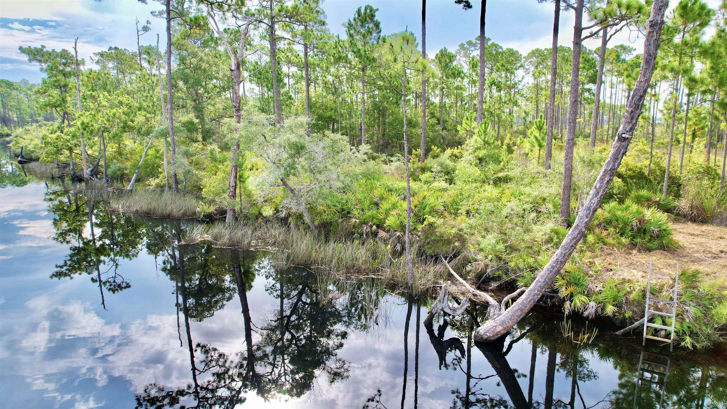 Xx Mill Road Carrabelle, FL 32322 - Photo 8 of 17