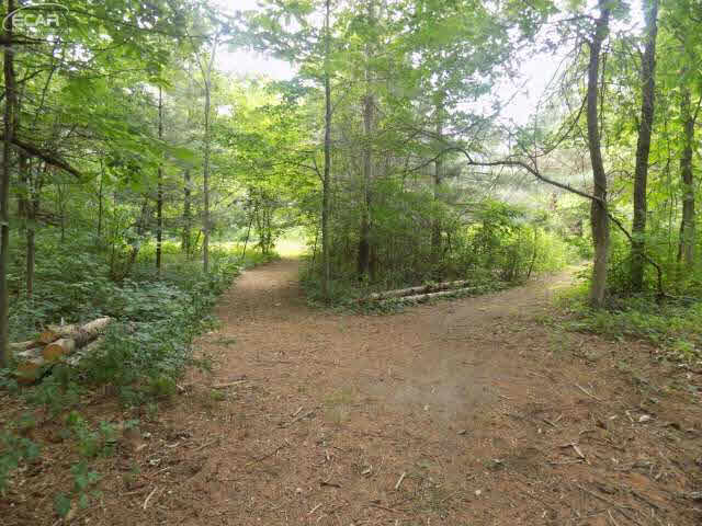 6243 Reid Road Swartz Creek, MI 48473 - Photo 87 of 98 21187519-87.JPG