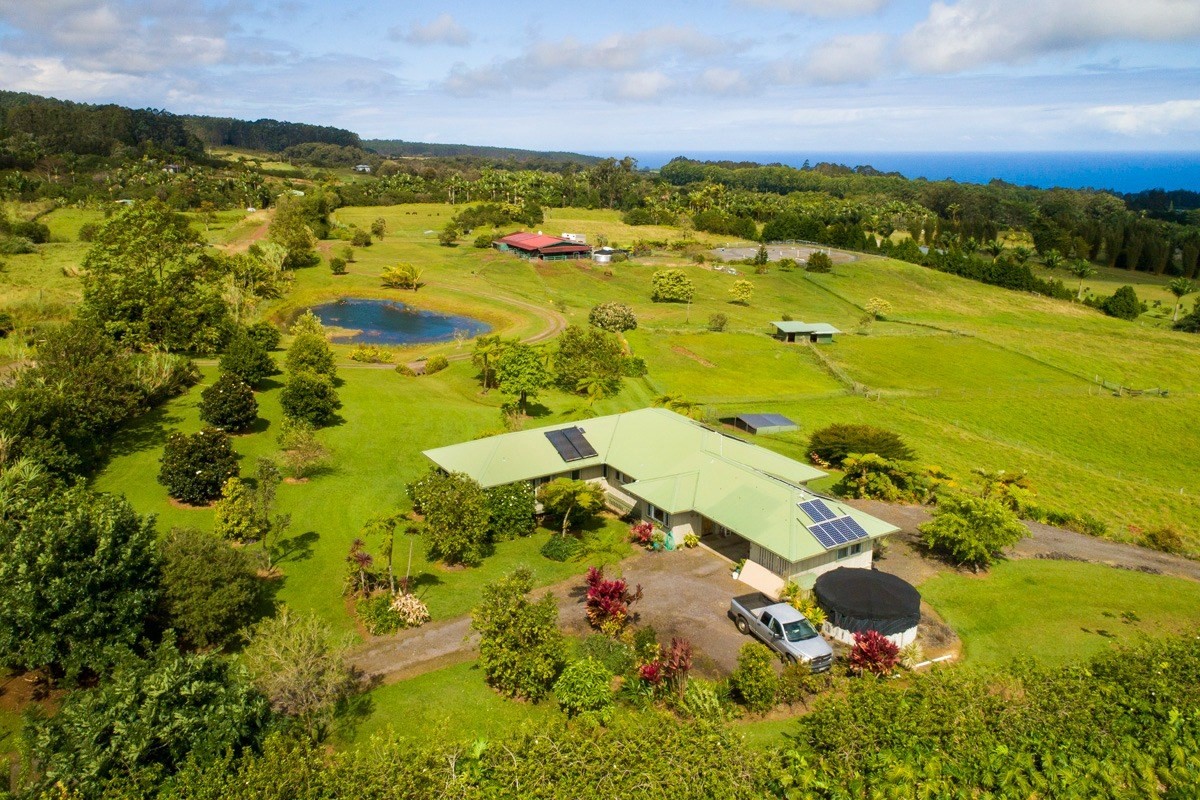 Stables at Hakalau offers everything for the equestrian