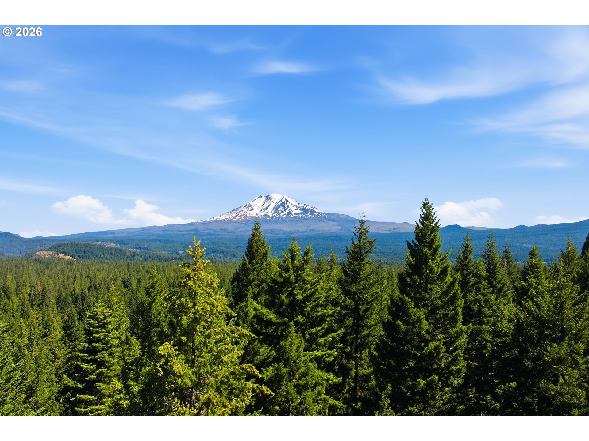 248 Jennings Road Trout Lake, WA 98650 - Photo 41 of 42 Gallery Image 41
