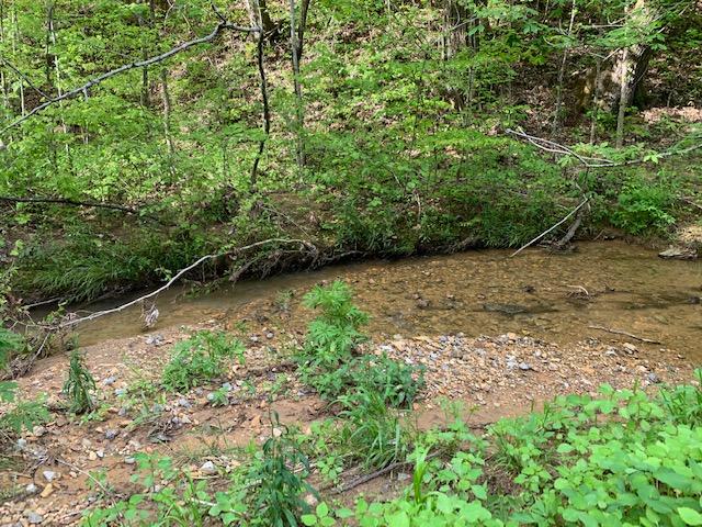 Creek