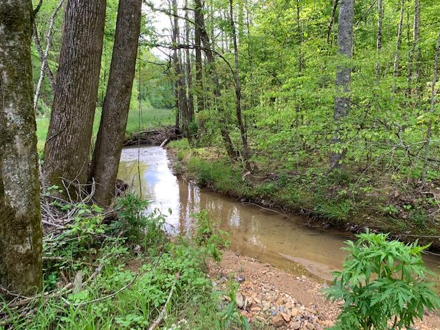Creek