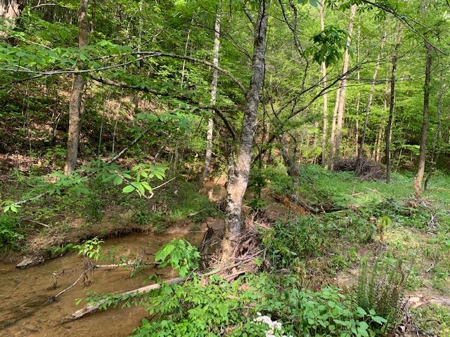 357 Smokey Branch Road Vonore, TN 37885 - Photo 8 of 9 Creek