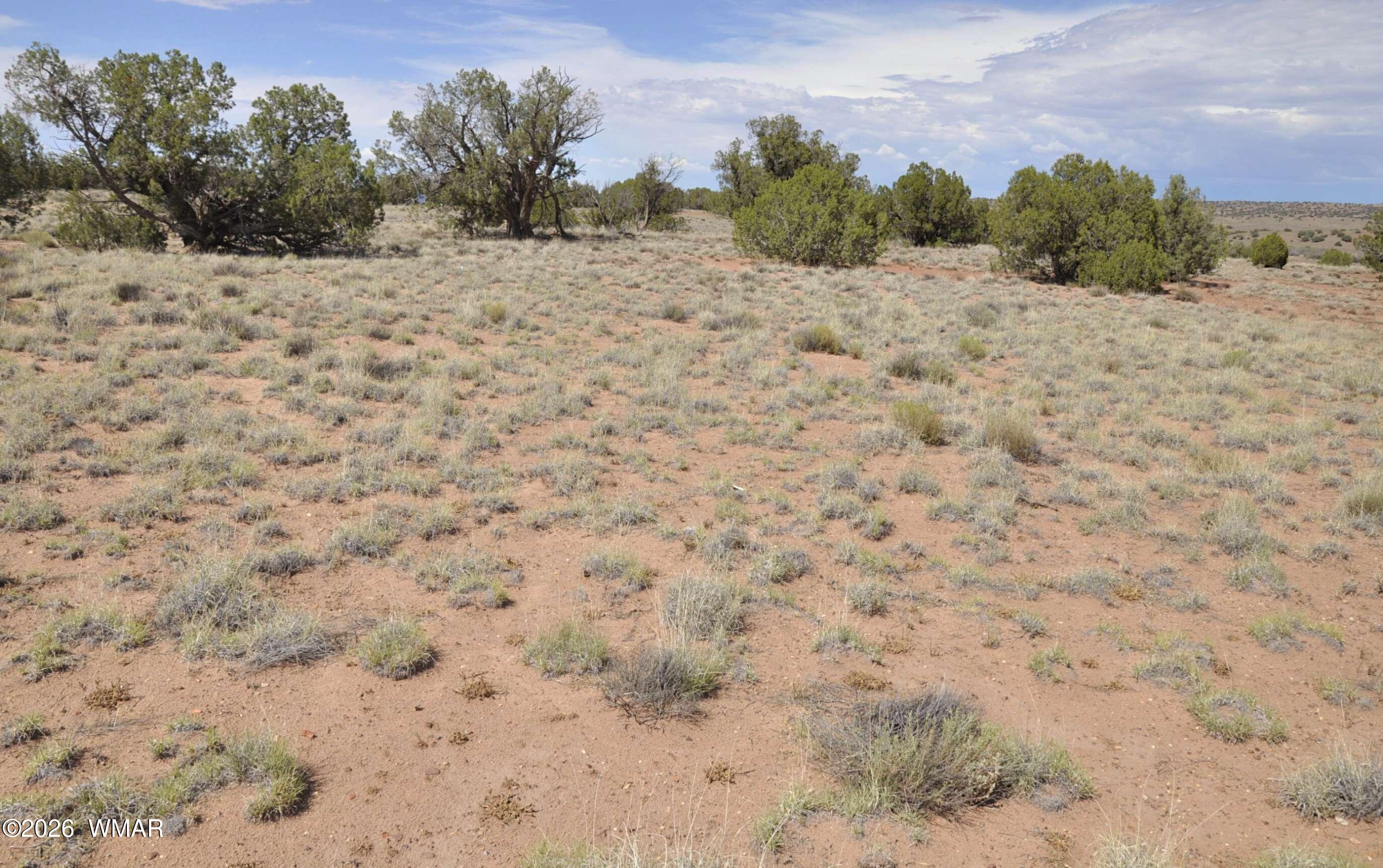 19-c & D County Road Concho, AZ 85924 - Photo 21 of 24 a view of a dry yard covered with snow in the background