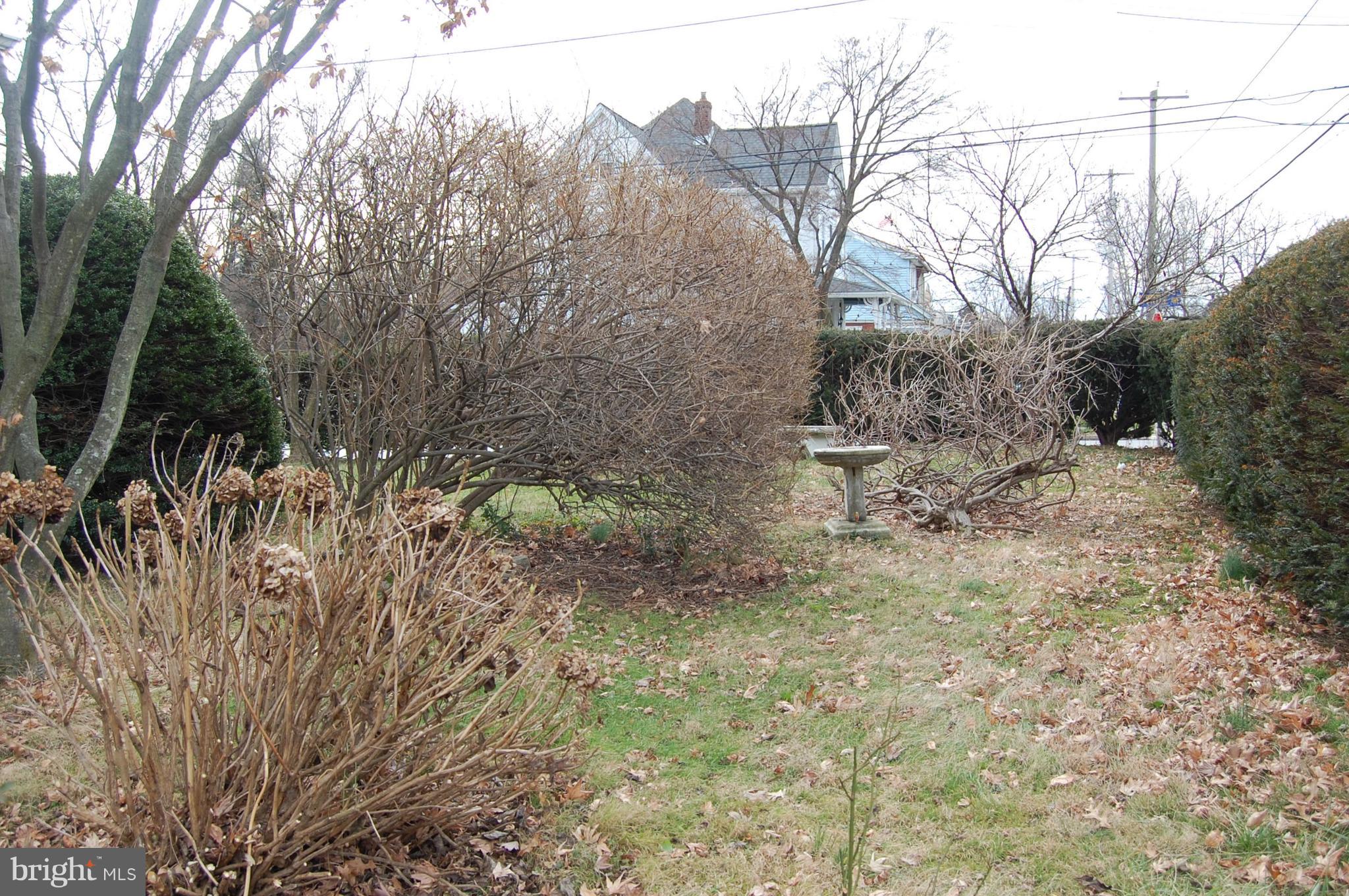 321 Ryers Avenue Cheltenham, PA 19012 - Photo 5 of 30 front-side yard