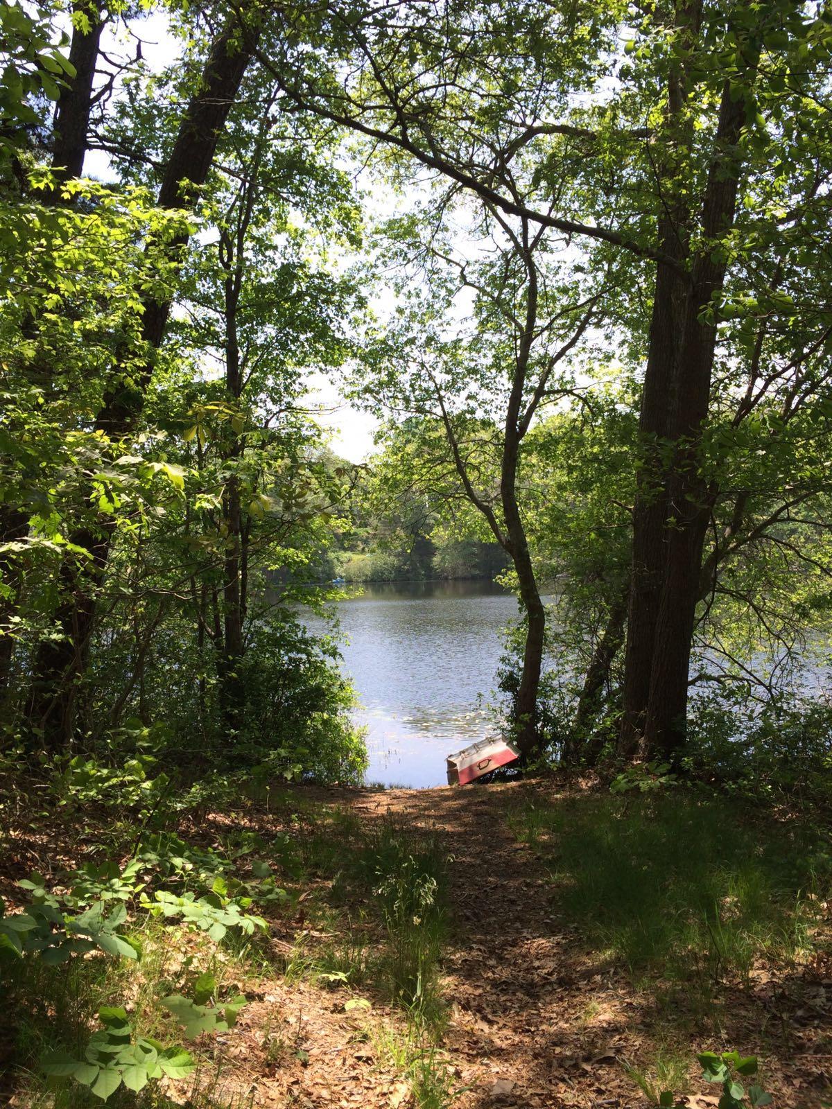 168 Lewis Pond Road Cotuit, MA 02635 - Photo 9 of 19 7 168 LP Rd