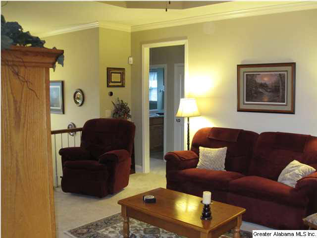 420 Turkey Trail Road Odenville, AL 35120 - Photo 13 of 29