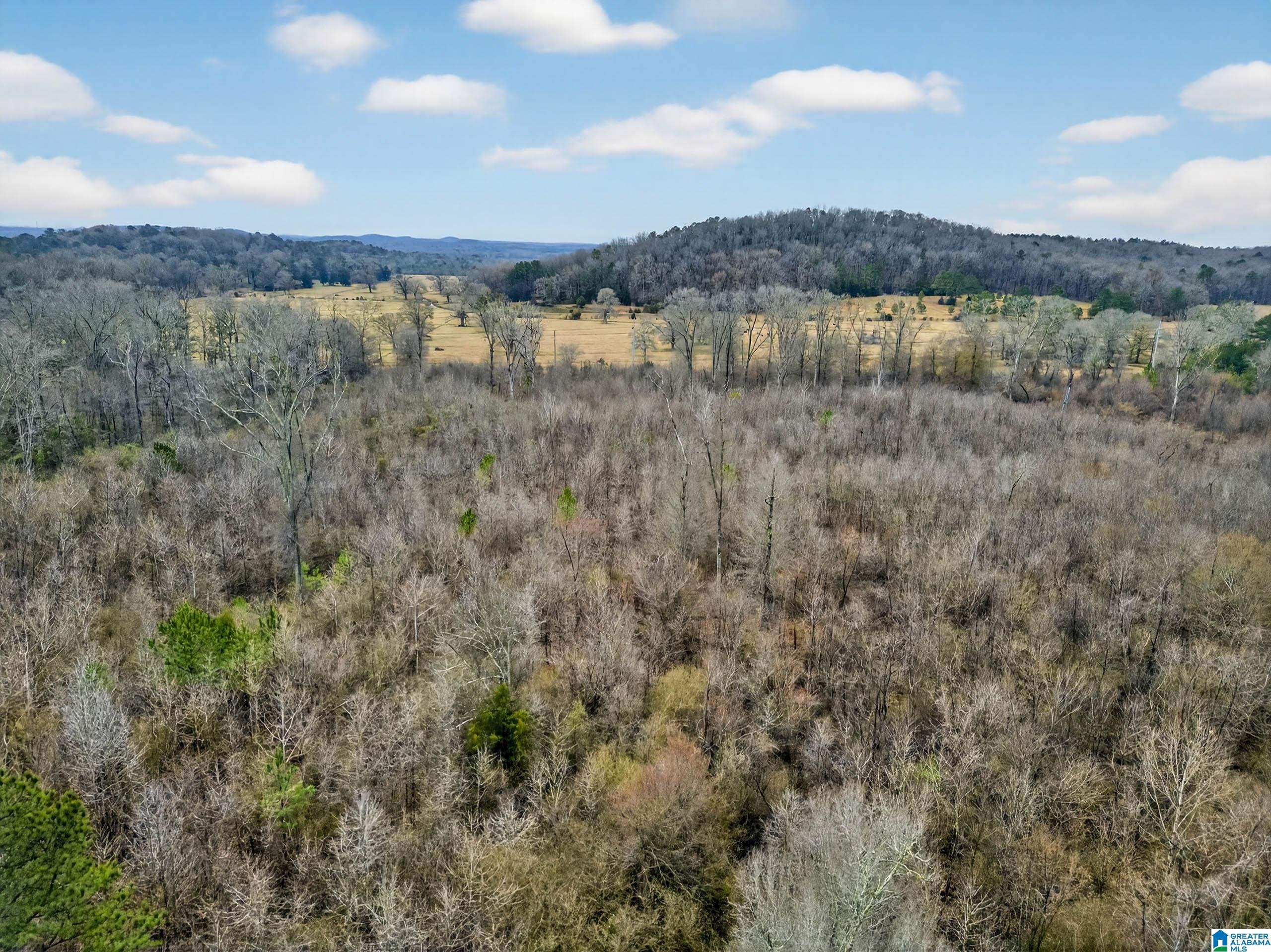 0 Turner Mill Road East Munford, AL 36268 - Photo 5 of 8