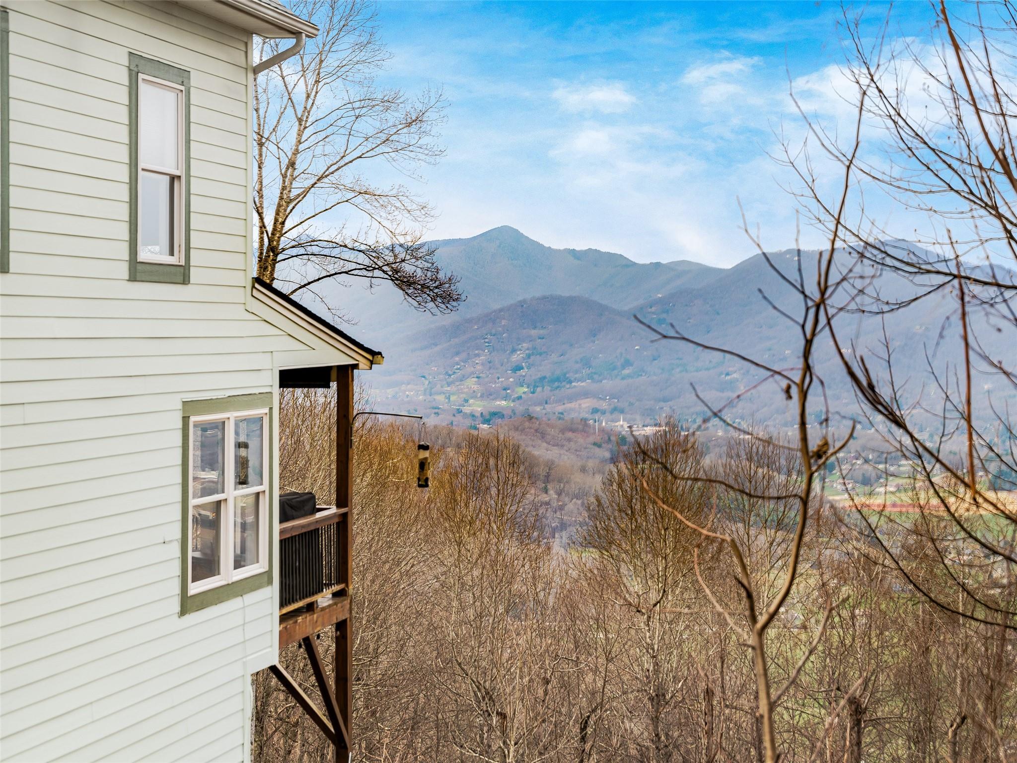 1386 Brandywine Road Waynesville, NC 28786 - Photo 39 of 48 Gallery Image 39