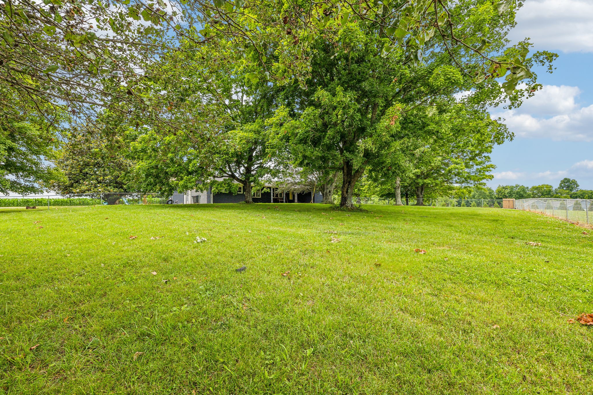 205 Jack Taylor Road Unionville, TN 37180 - Photo 40 of 60 Gallery Image 40