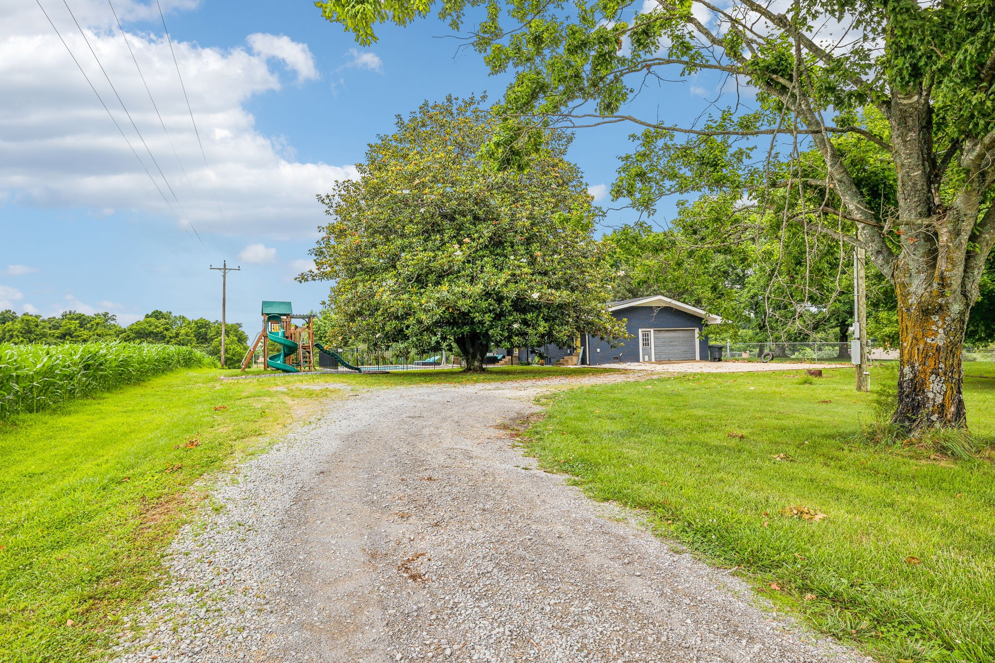205 Jack Taylor Road Unionville, TN 37180 - Photo 4 of 60 Gallery Image 4