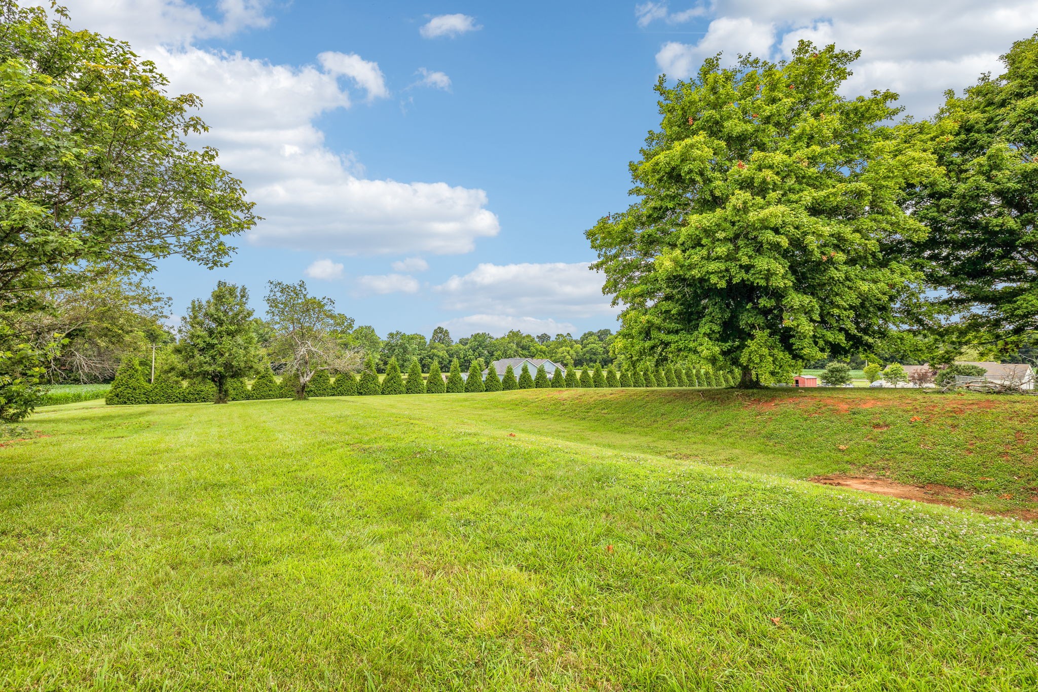 205 Jack Taylor Road Unionville, TN 37180 - Photo 51 of 60 Gallery Image 51