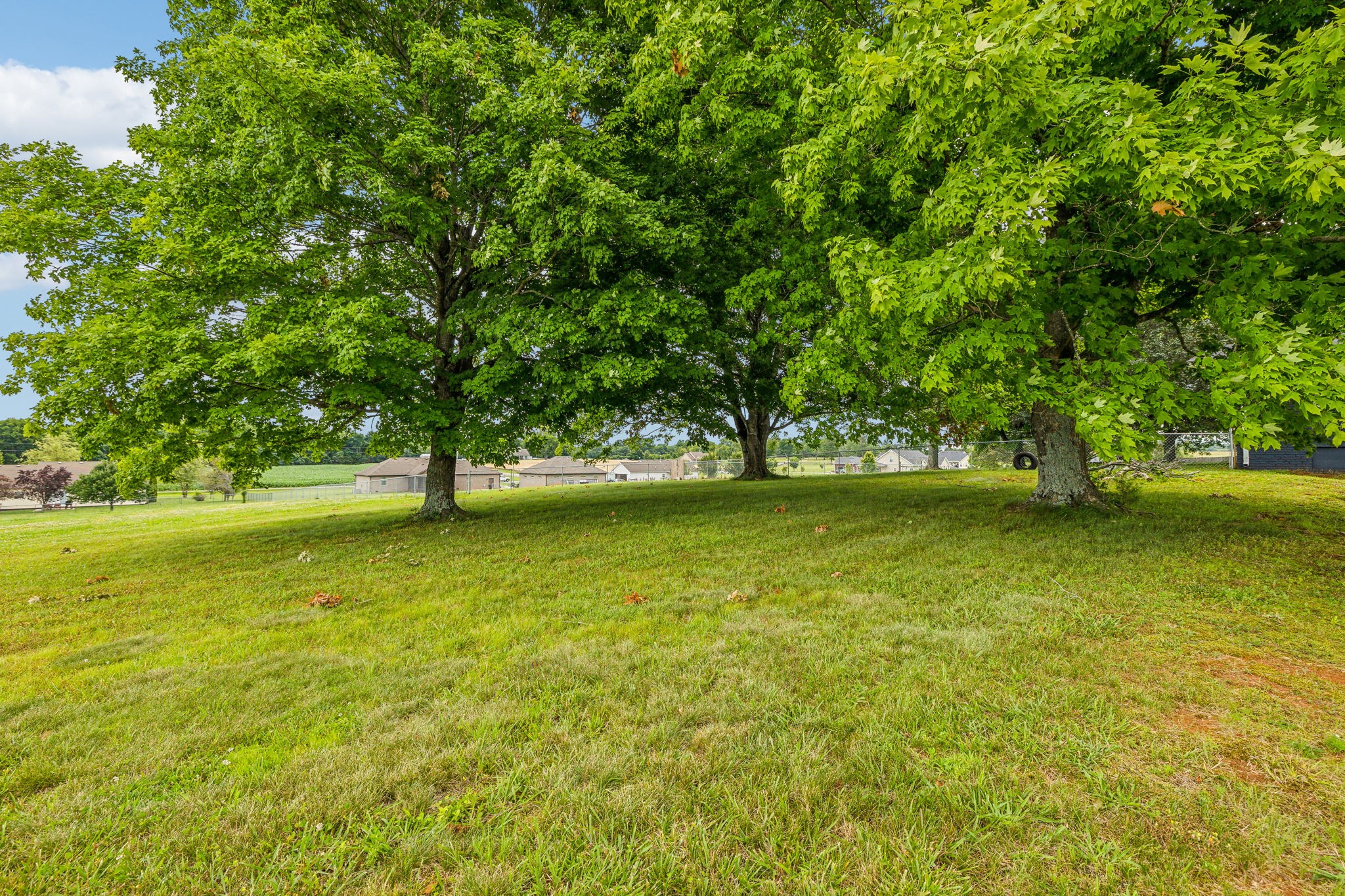 205 Jack Taylor Road Unionville, TN 37180 - Photo 52 of 60 Gallery Image 52