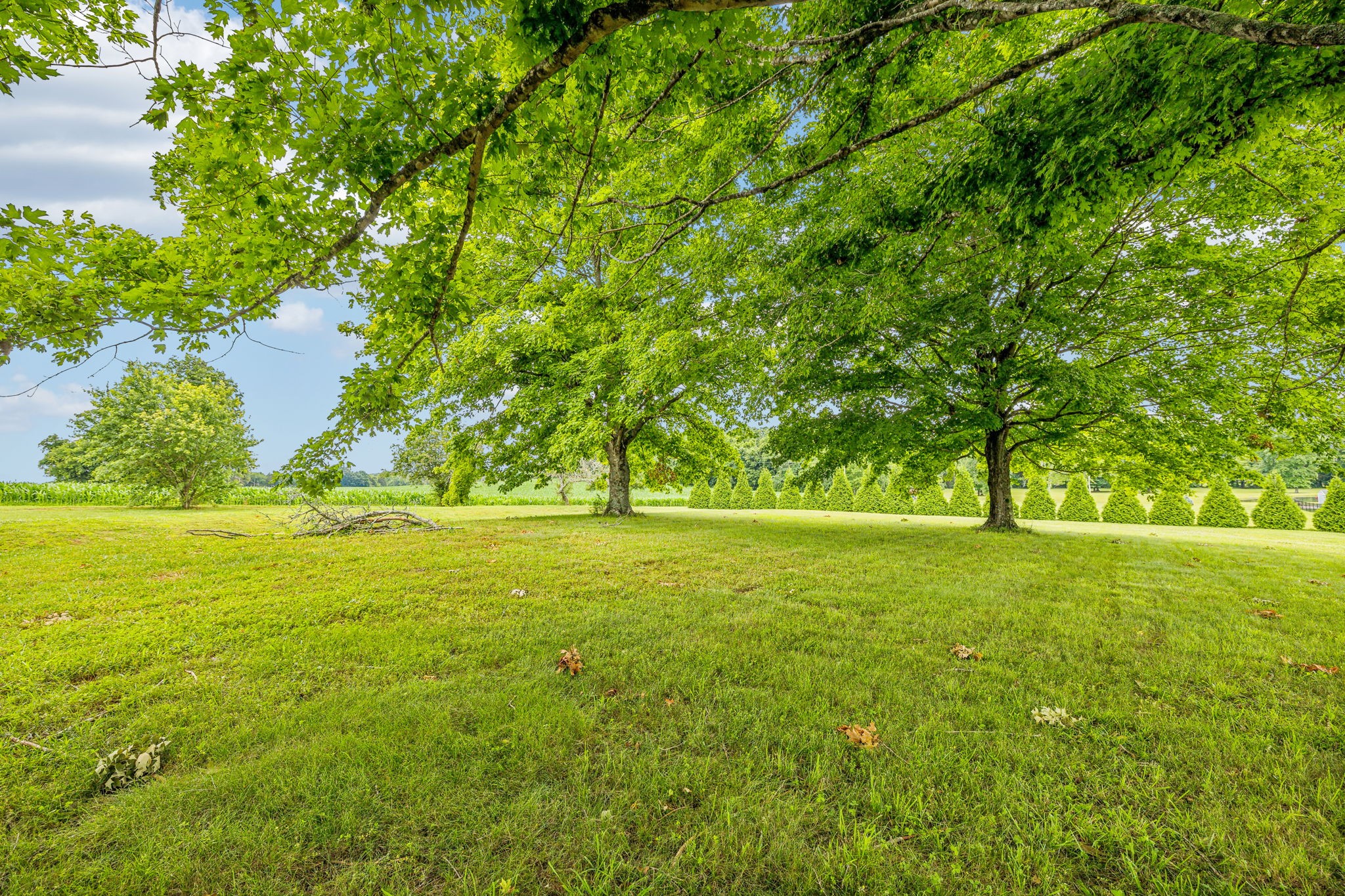 205 Jack Taylor Road Unionville, TN 37180 - Photo 53 of 60 Gallery Image 53