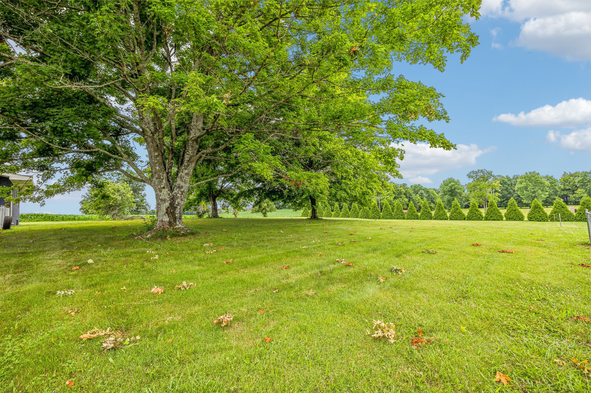 205 Jack Taylor Road Unionville, TN 37180 - Photo 54 of 60 Gallery Image 54