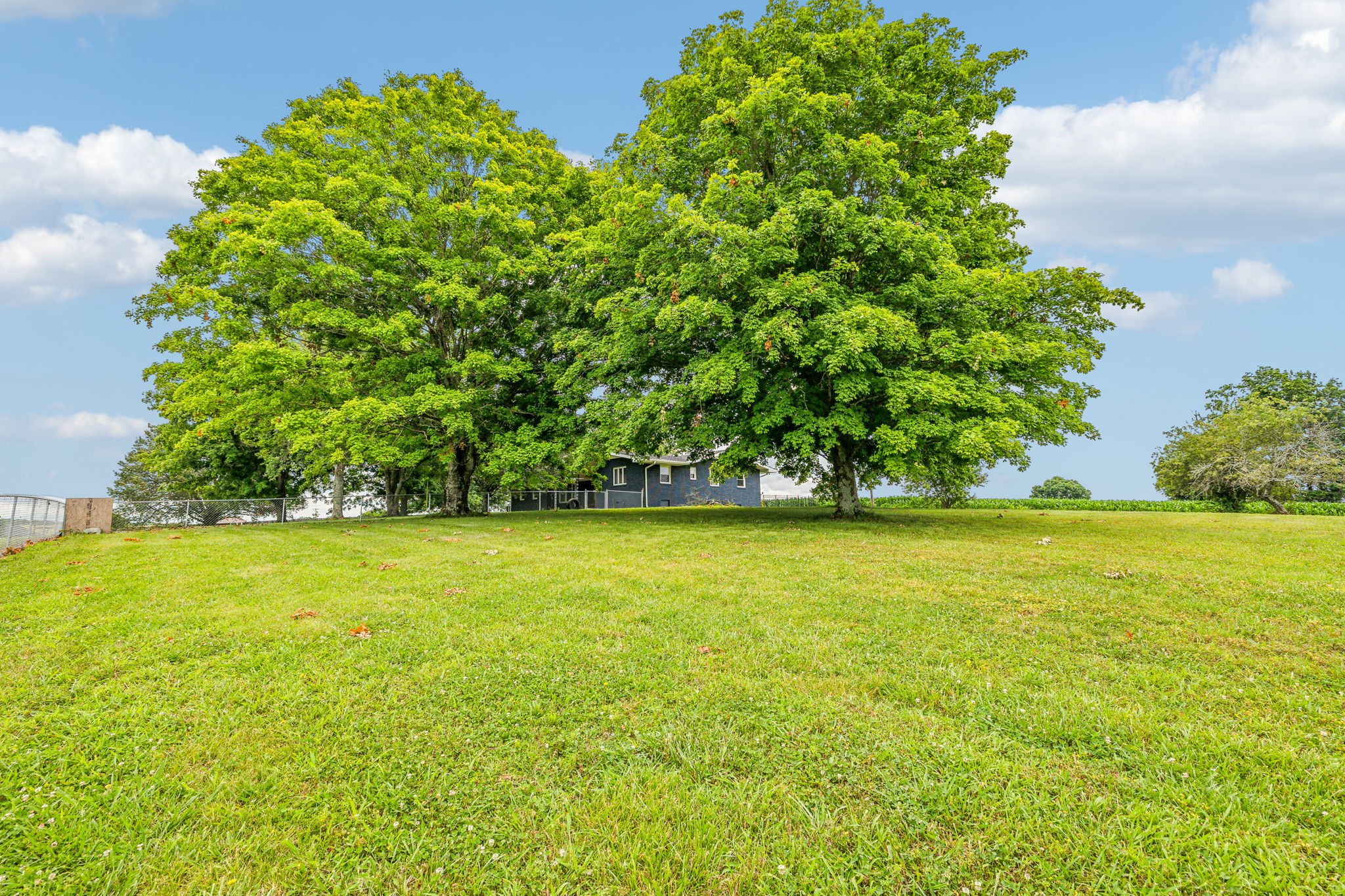 205 Jack Taylor Road Unionville, TN 37180 - Photo 55 of 60 Gallery Image 55