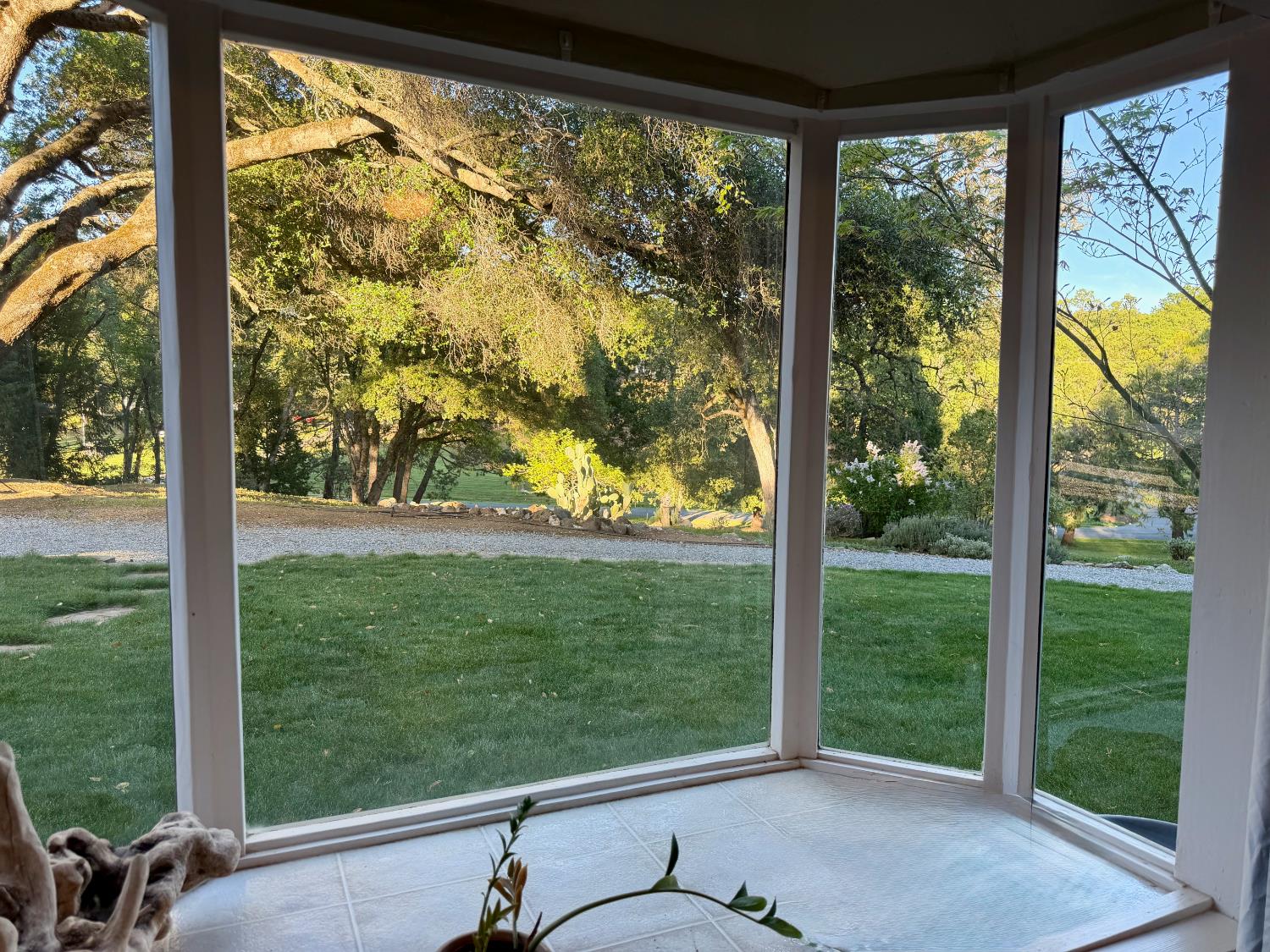 3500 Indian Creek Road Placerville, CA 95667 - Photo 11 of 56