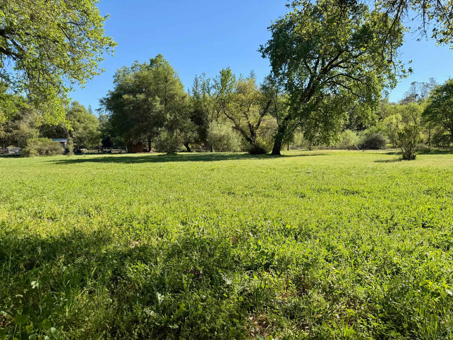 3500 Indian Creek Road Placerville, CA 95667 - Photo 2 of 56