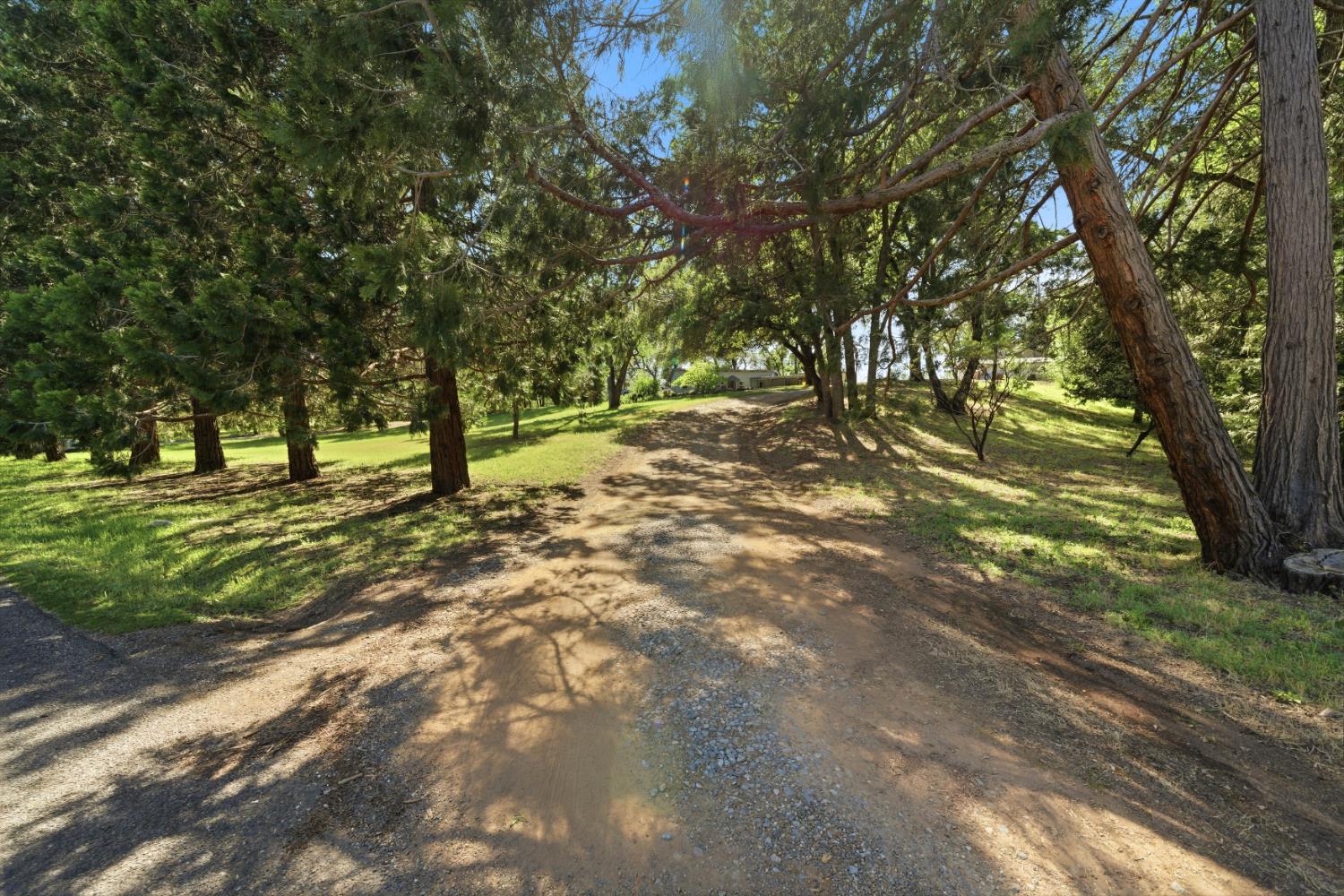3500 Indian Creek Road Placerville, CA 95667 - Photo 26 of 56