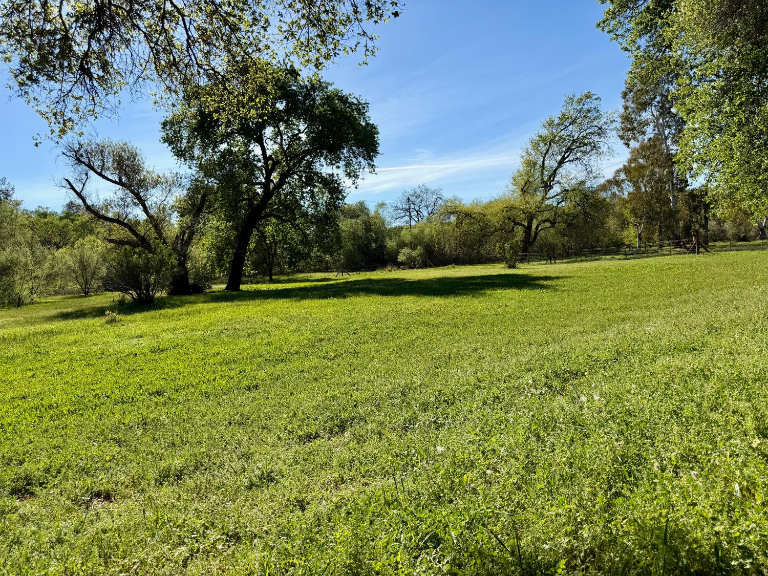 3500 Indian Creek Road Placerville, CA 95667 - Photo 3 of 56