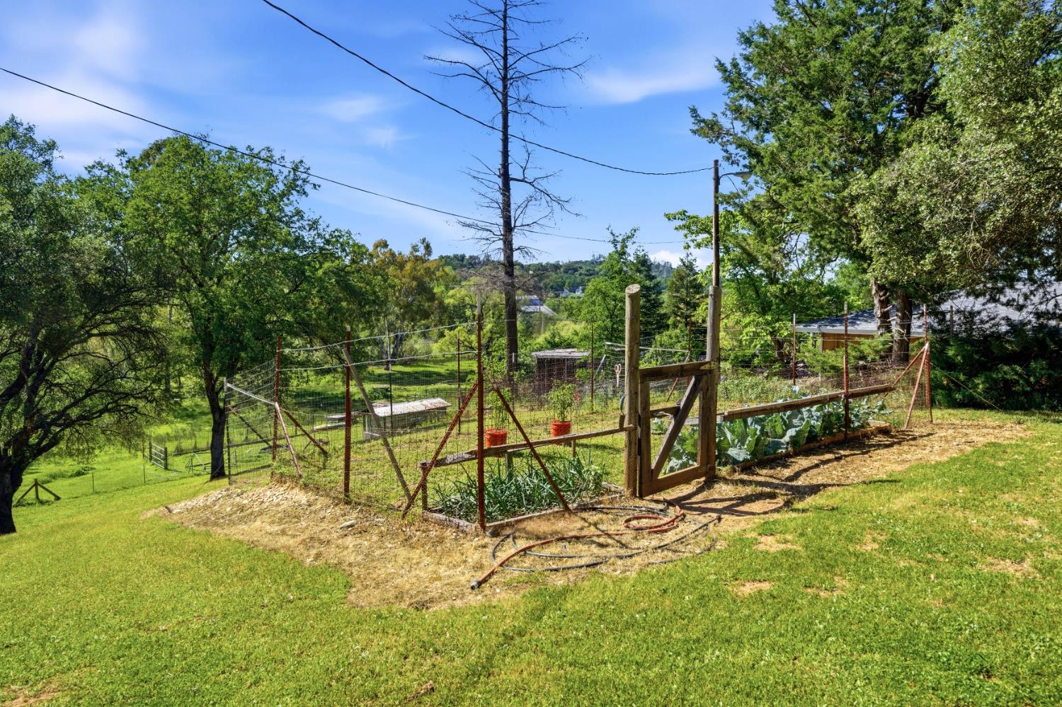 3500 Indian Creek Road Placerville, CA 95667 - Photo 39 of 56