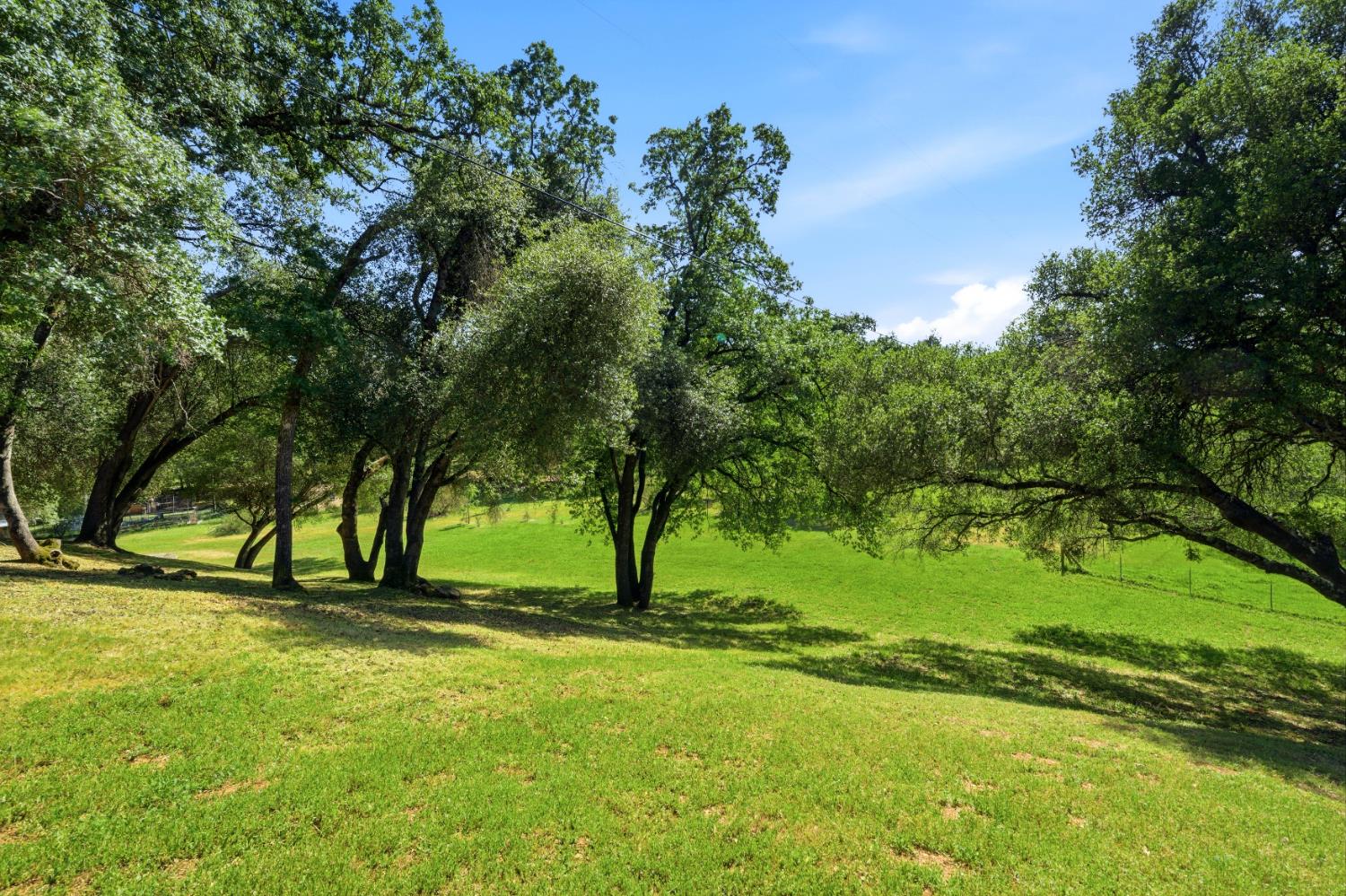 3500 Indian Creek Road Placerville, CA 95667 - Photo 4 of 56