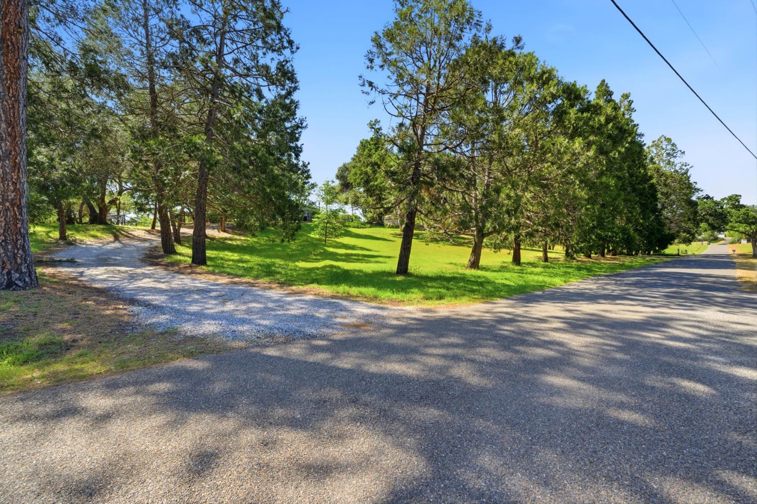 3500 Indian Creek Road Placerville, CA 95667 - Photo 6 of 56