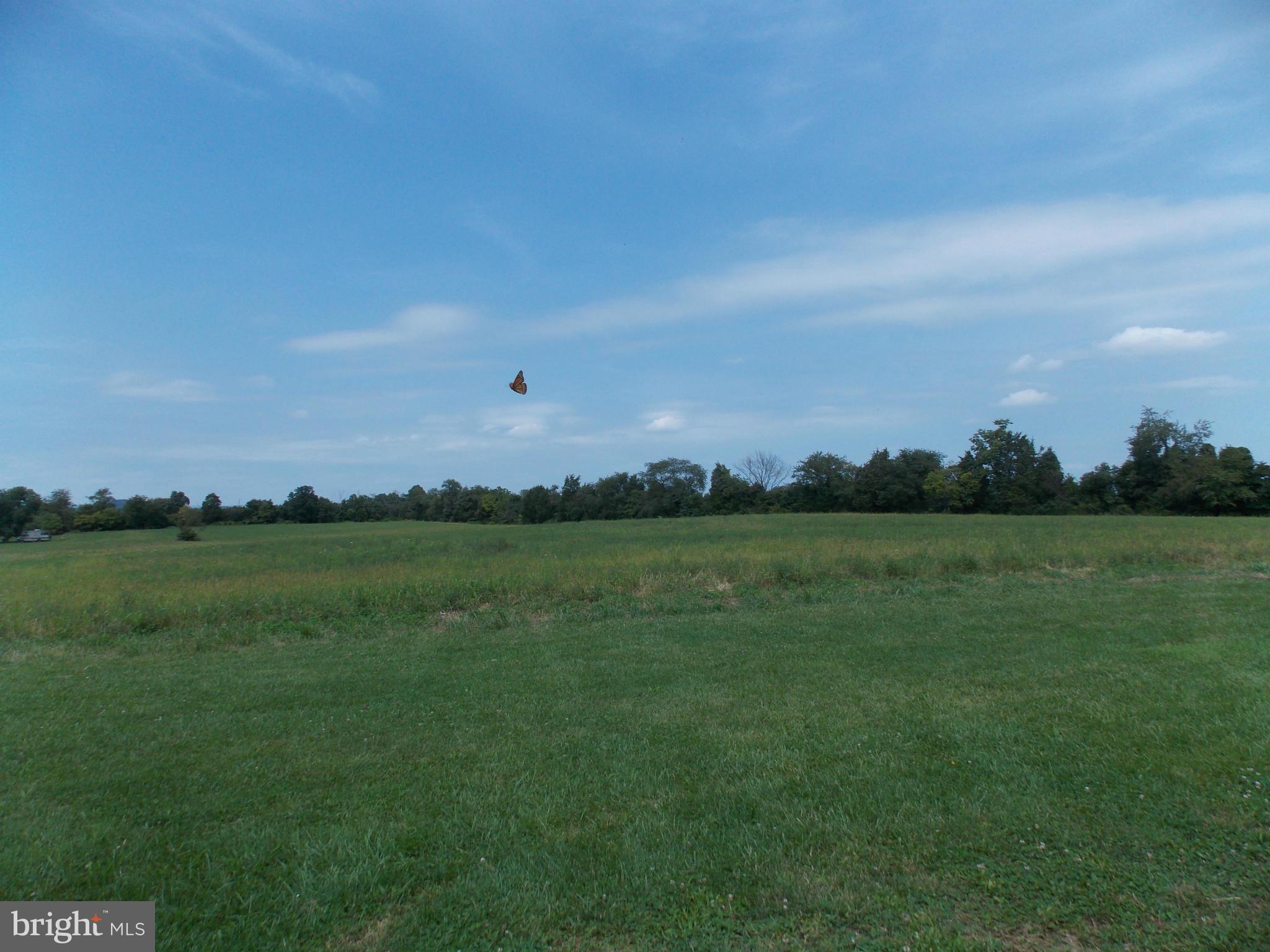 4035 Bullfrog Road Taneytown, MD 21787 - Photo 20 of 30 View