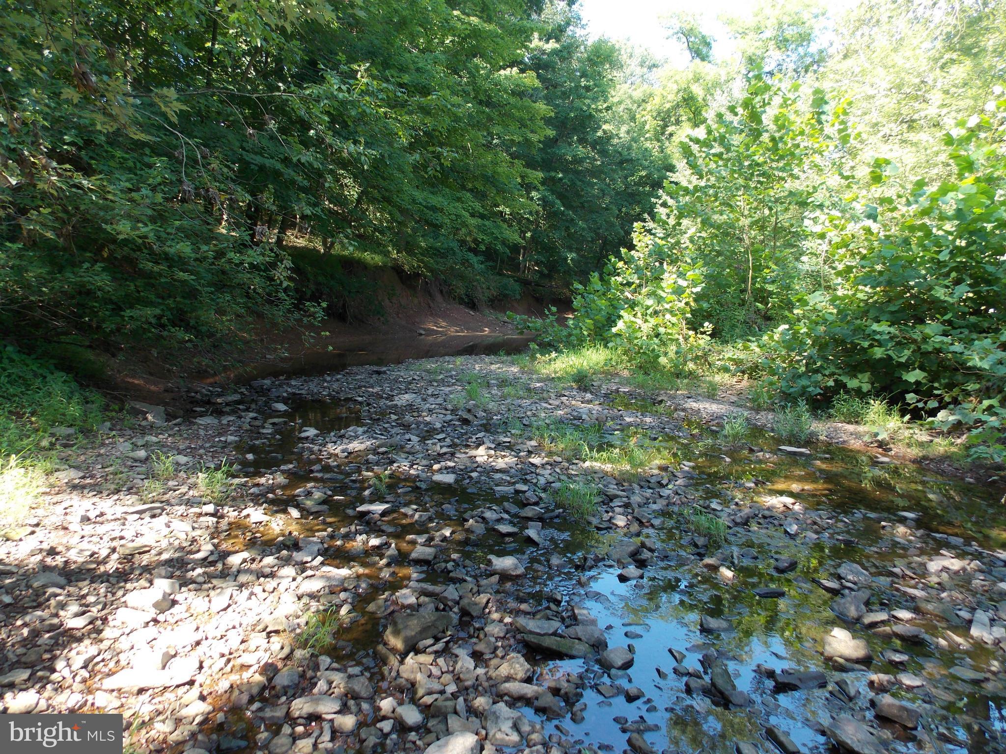 4035 Bullfrog Road Taneytown, MD 21787 - Photo 21 of 30 stream on property