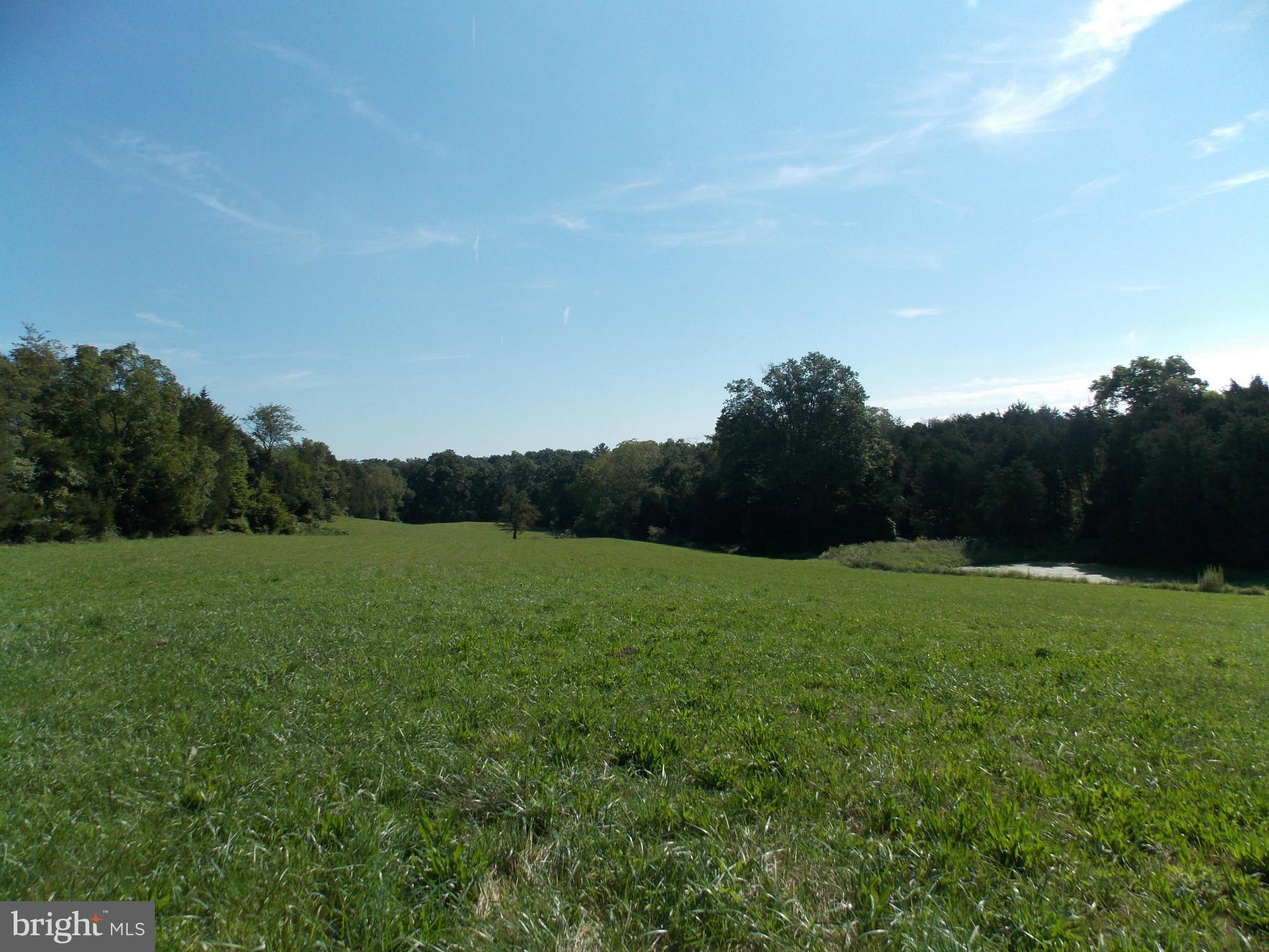 4035 Bullfrog Road Taneytown, MD 21787 - Photo 23 of 30 View