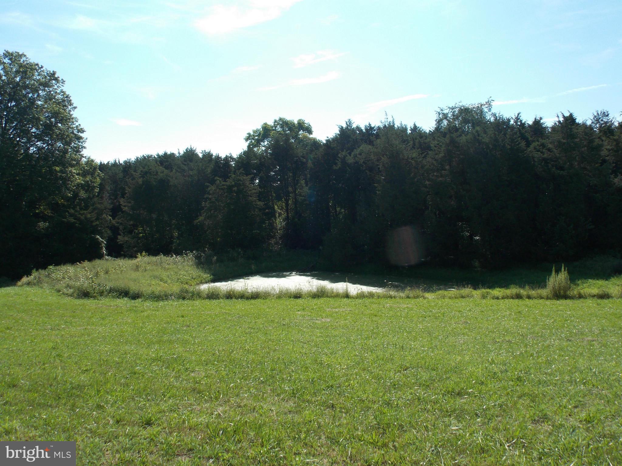 4035 Bullfrog Road Taneytown, MD 21787 - Photo 26 of 30 Pond on the property