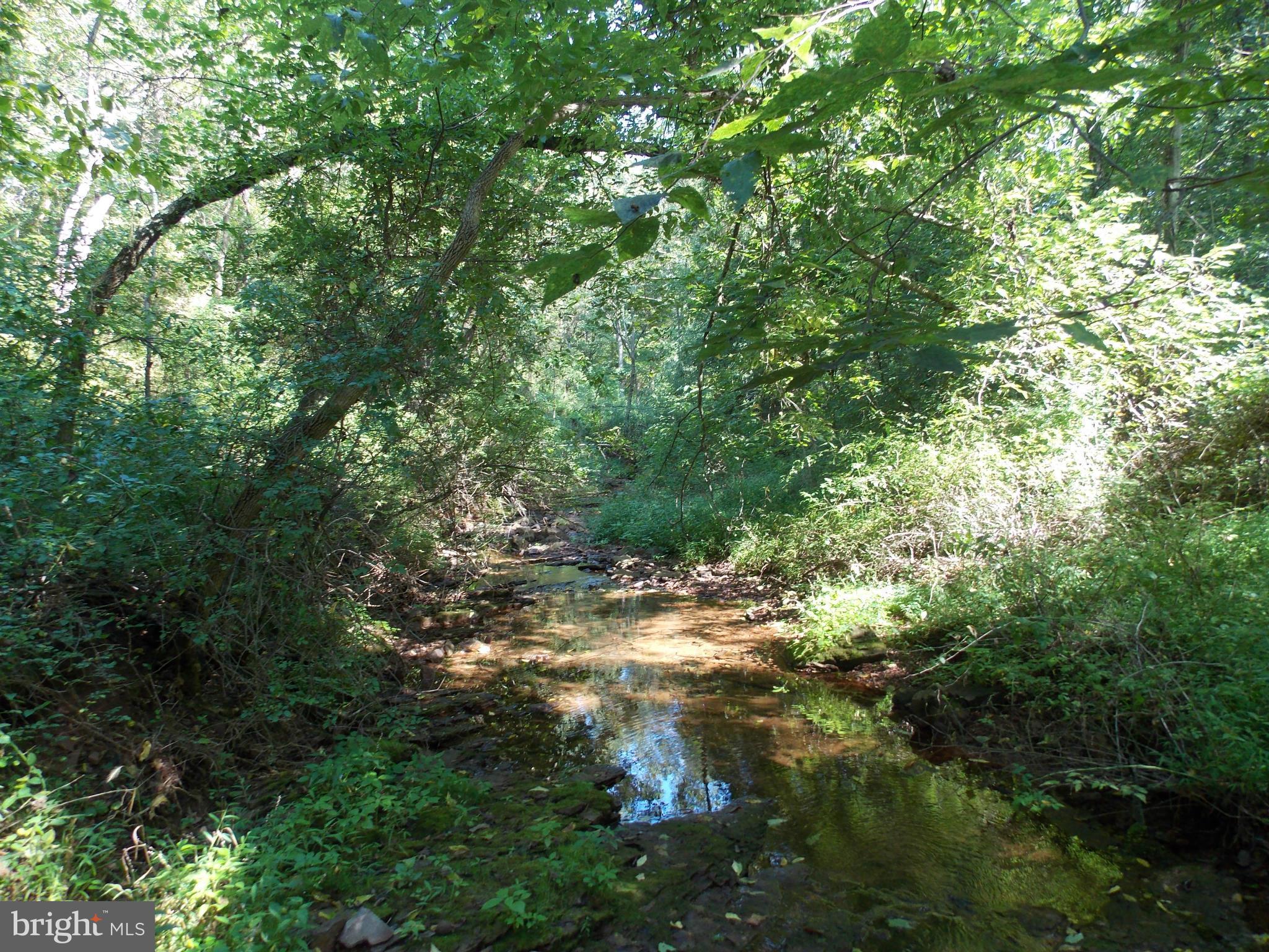 4035 Bullfrog Road Taneytown, MD 21787 - Photo 27 of 30 Stream on property