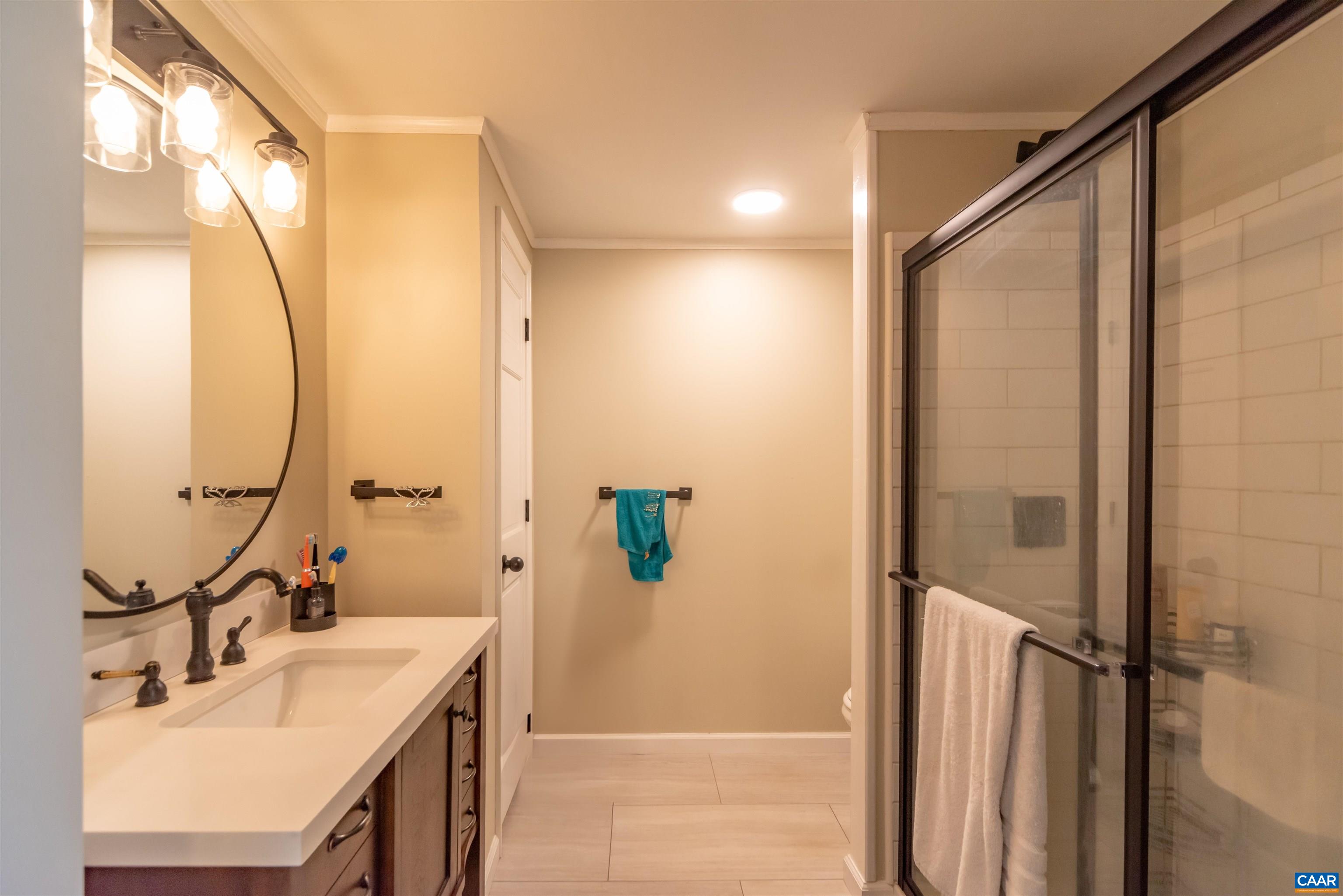 950 Apple Grove Road Mineral, VA 23117 - Photo 20 of 37 a bathroom with a sink a mirror and a shower