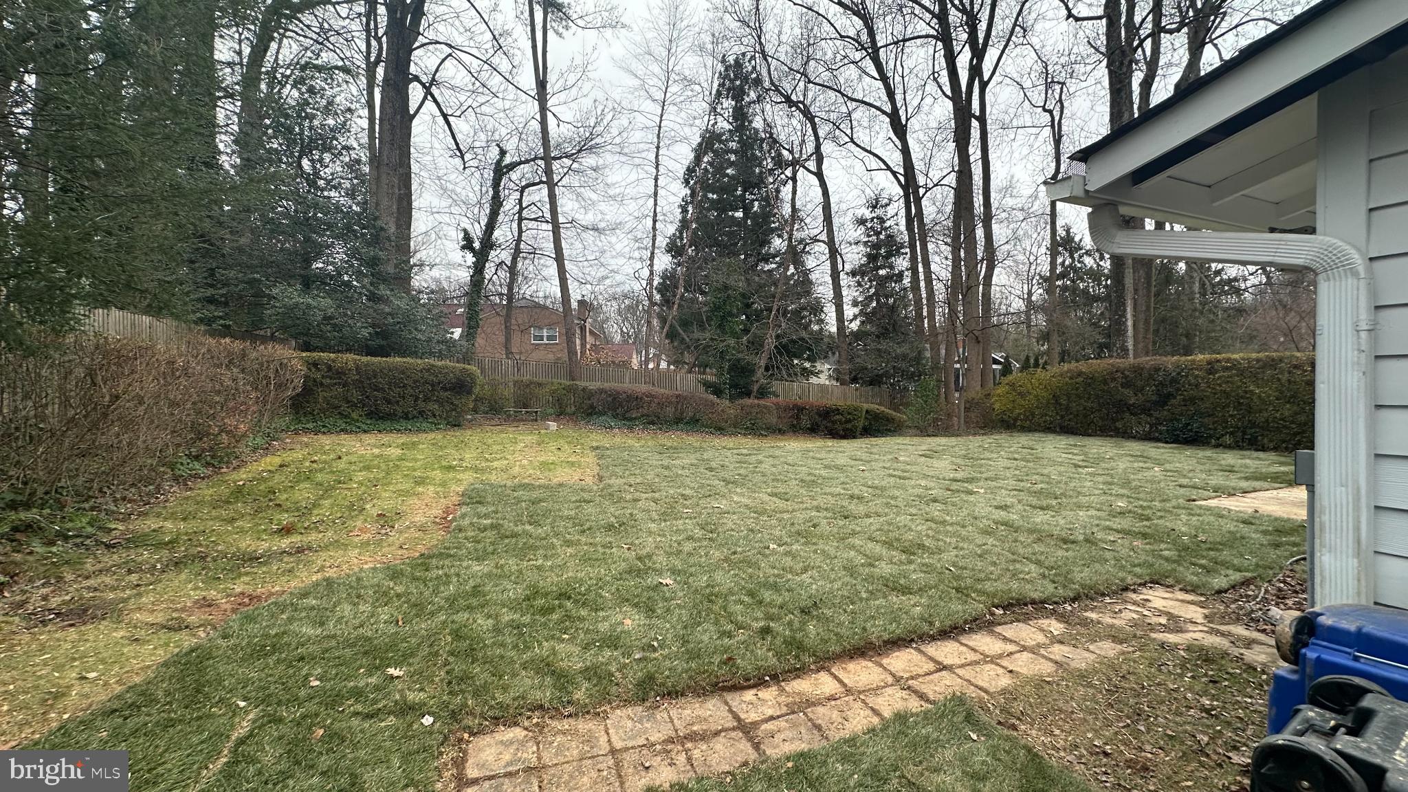6613 Kerns Road Falls Church, VA 22042 - Photo 43 of 48 Serene backyard retreat with lush greenery.