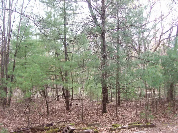 $30,950 | Lot 3 Meiller, Montello, WI 53949