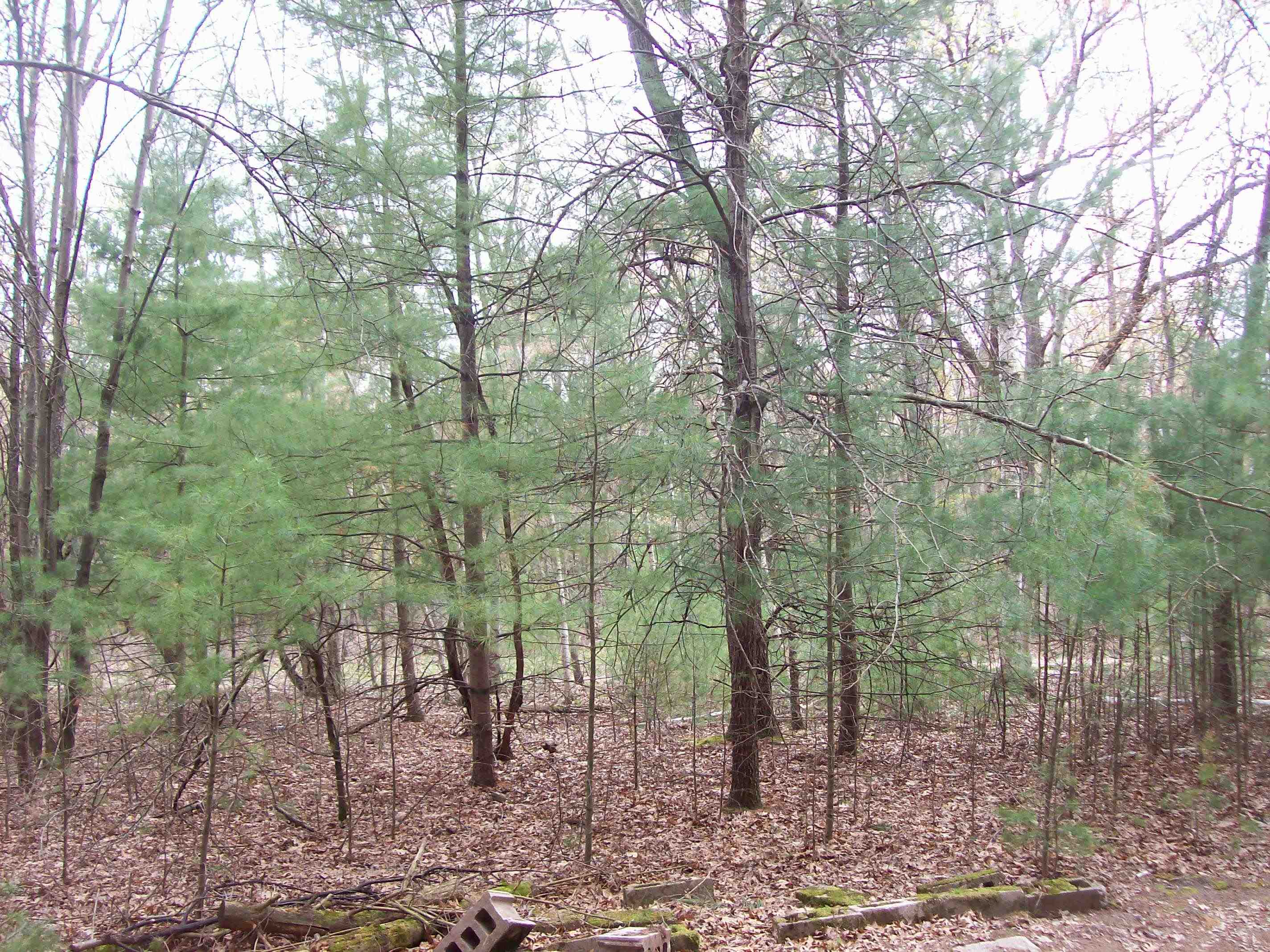 Lot 3 Meiller Montello, WI 53949 - Photo 1 of 5