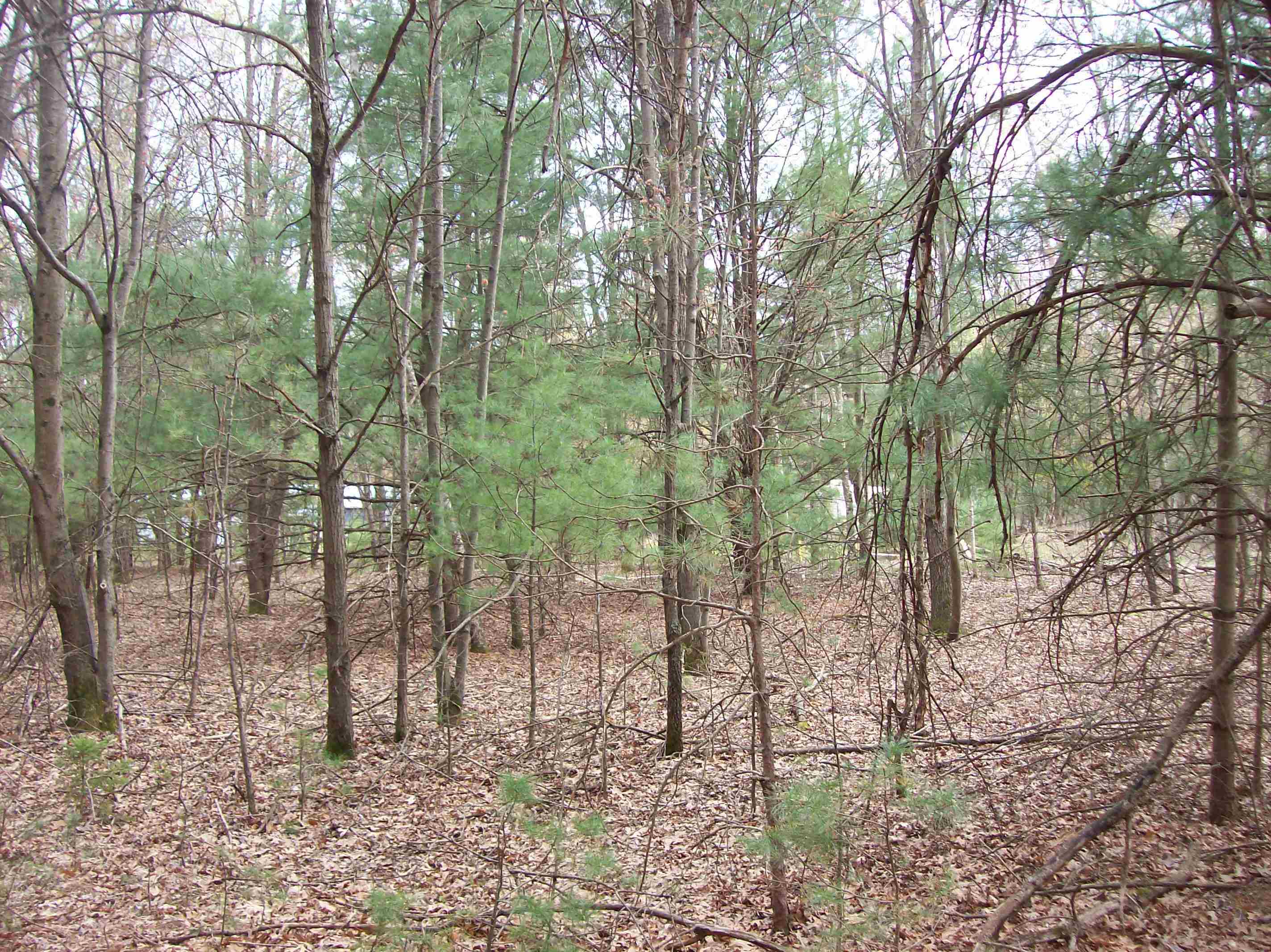 Lot 3 Meiller Montello, WI 53949 - Photo 2 of 5