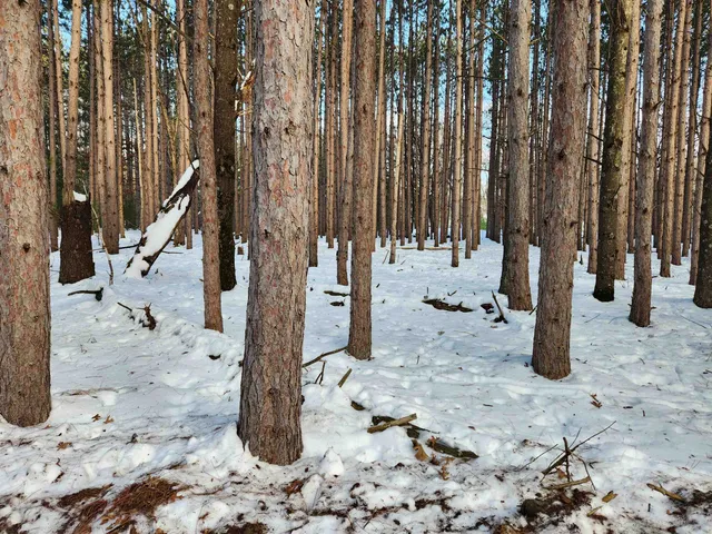 $30,950 | Lot 3 Meiller, Montello, WI 53949