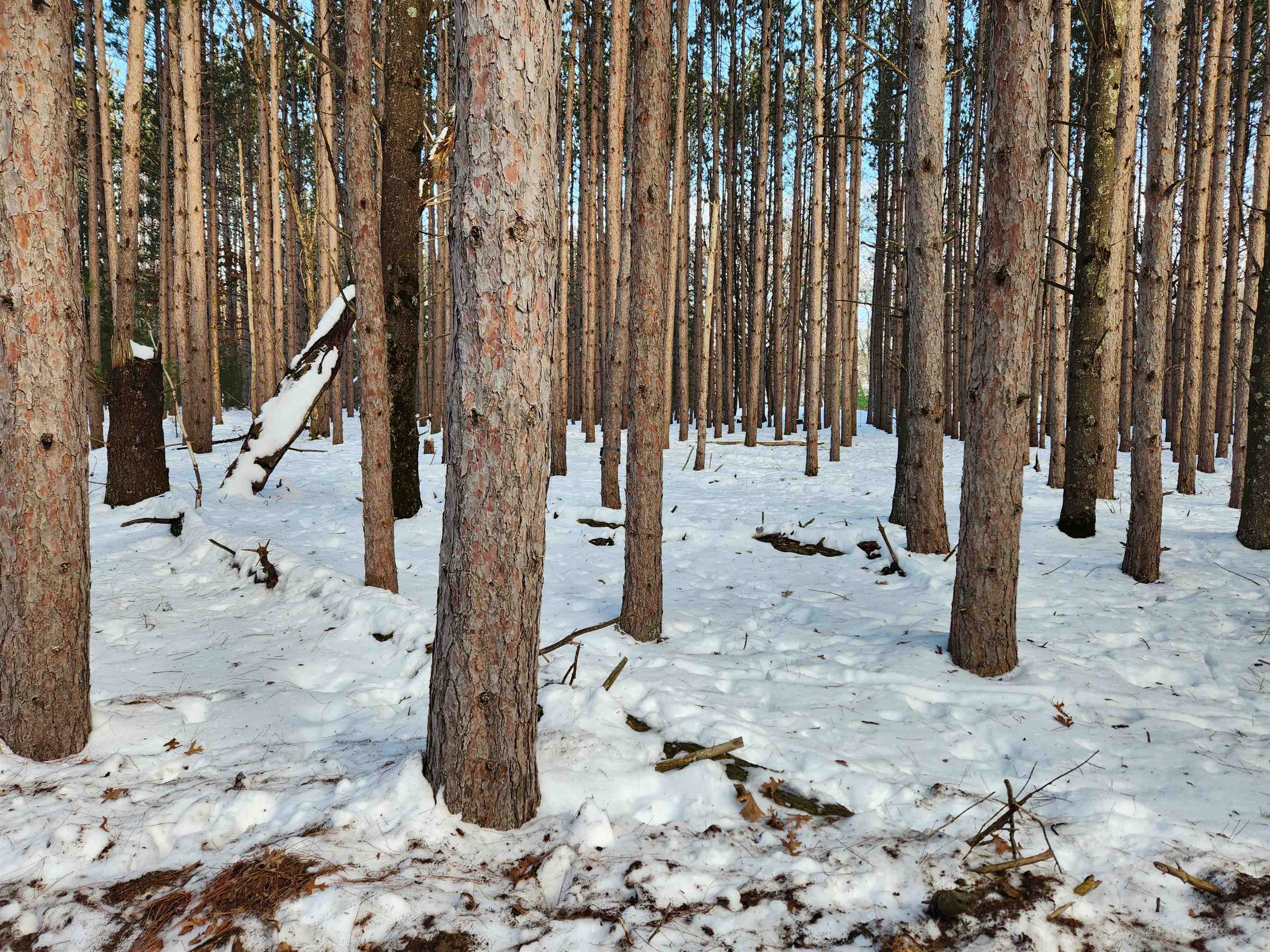Lot 3 Meiller Montello, WI 53949 - Photo 2 of 6